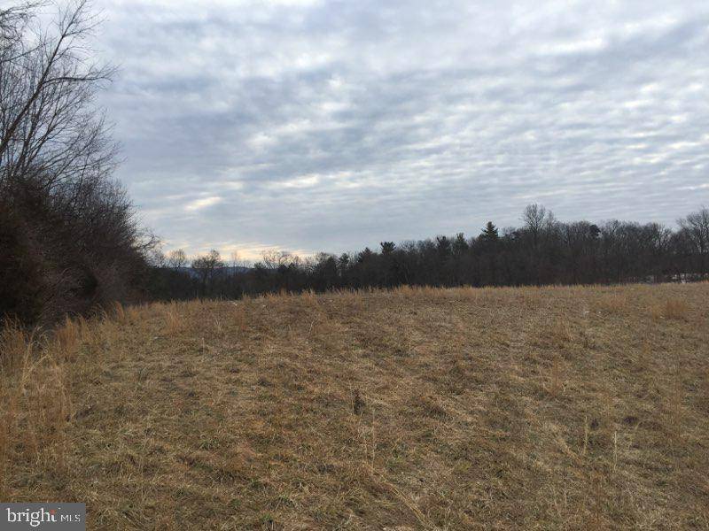 Duncannon, PA 17020,LOT #12 TWIN OAKS RD