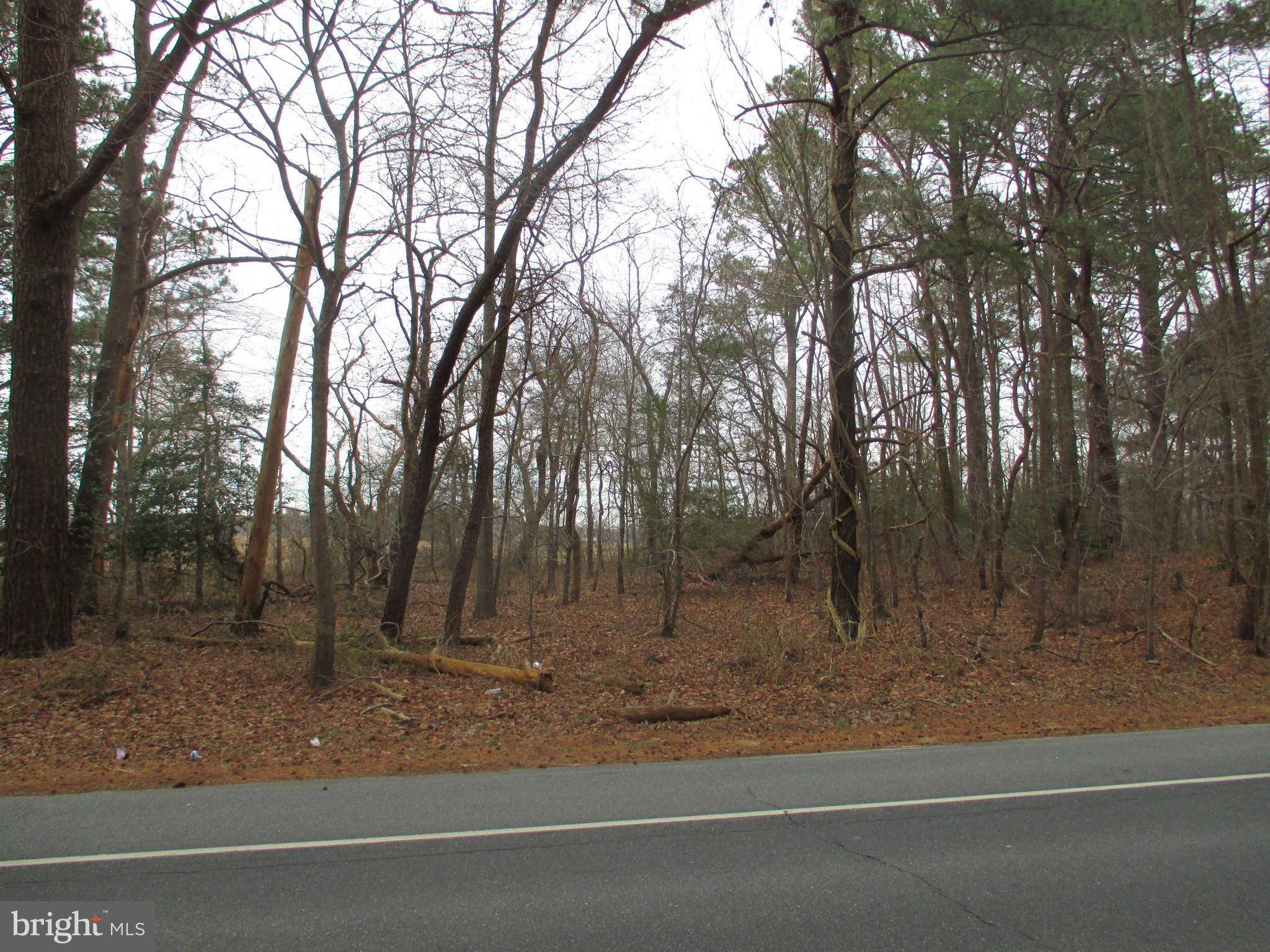 Frankford, DE 19945,LOT 12 OMAR ROAD