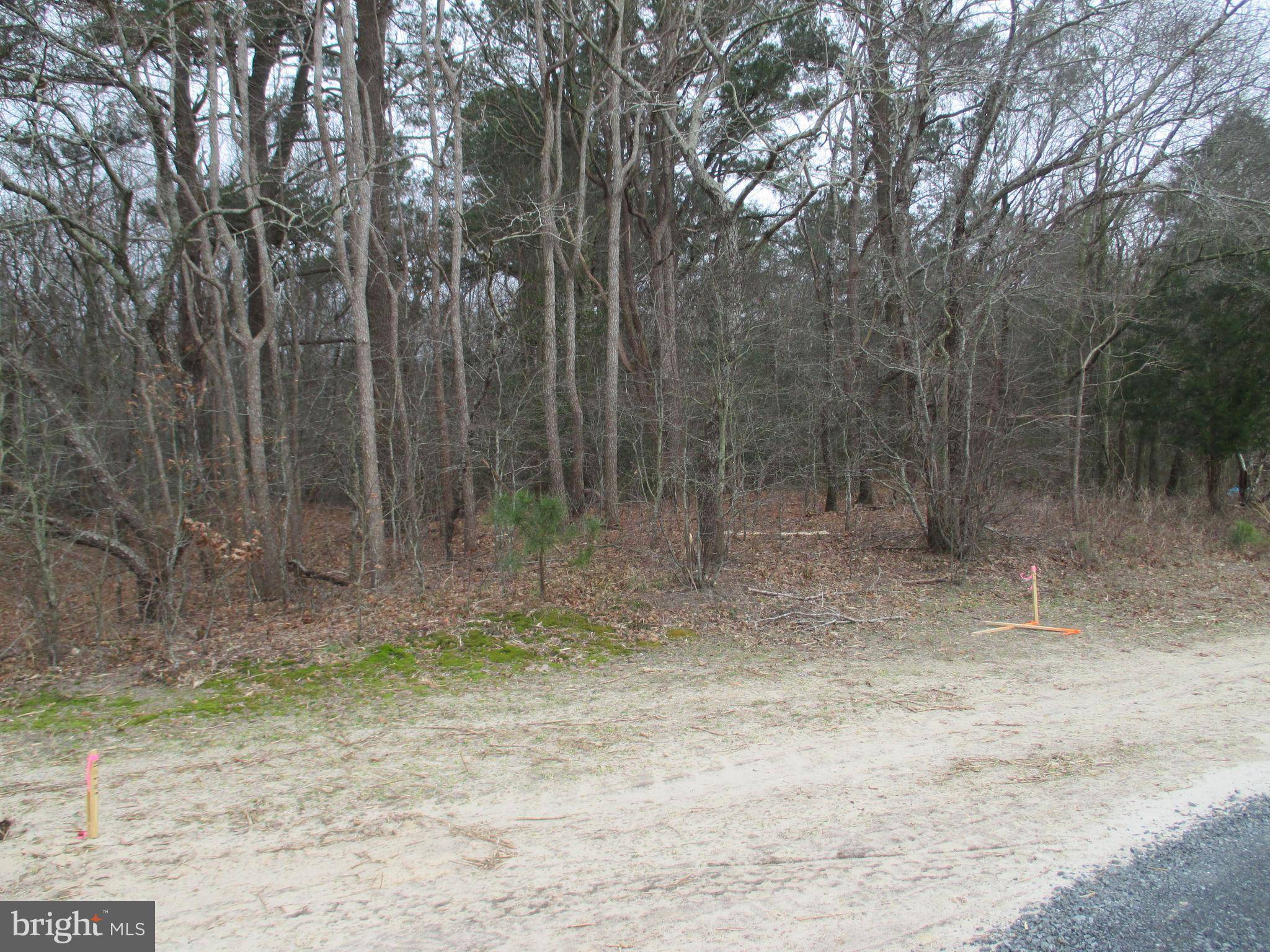 Frankford, DE 19945,LOT 12 OMAR ROAD