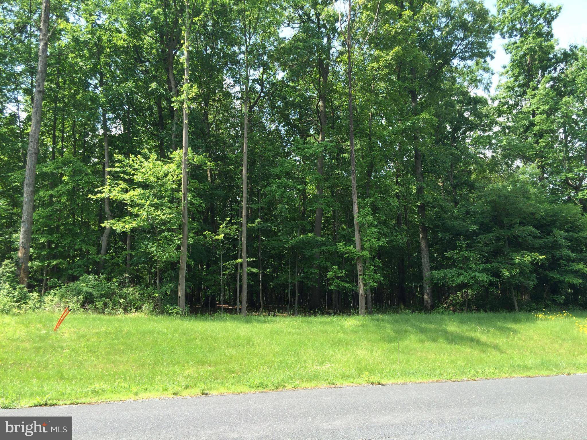 Waynesboro, PA 17268,LOT 85 LONGWOOD DR