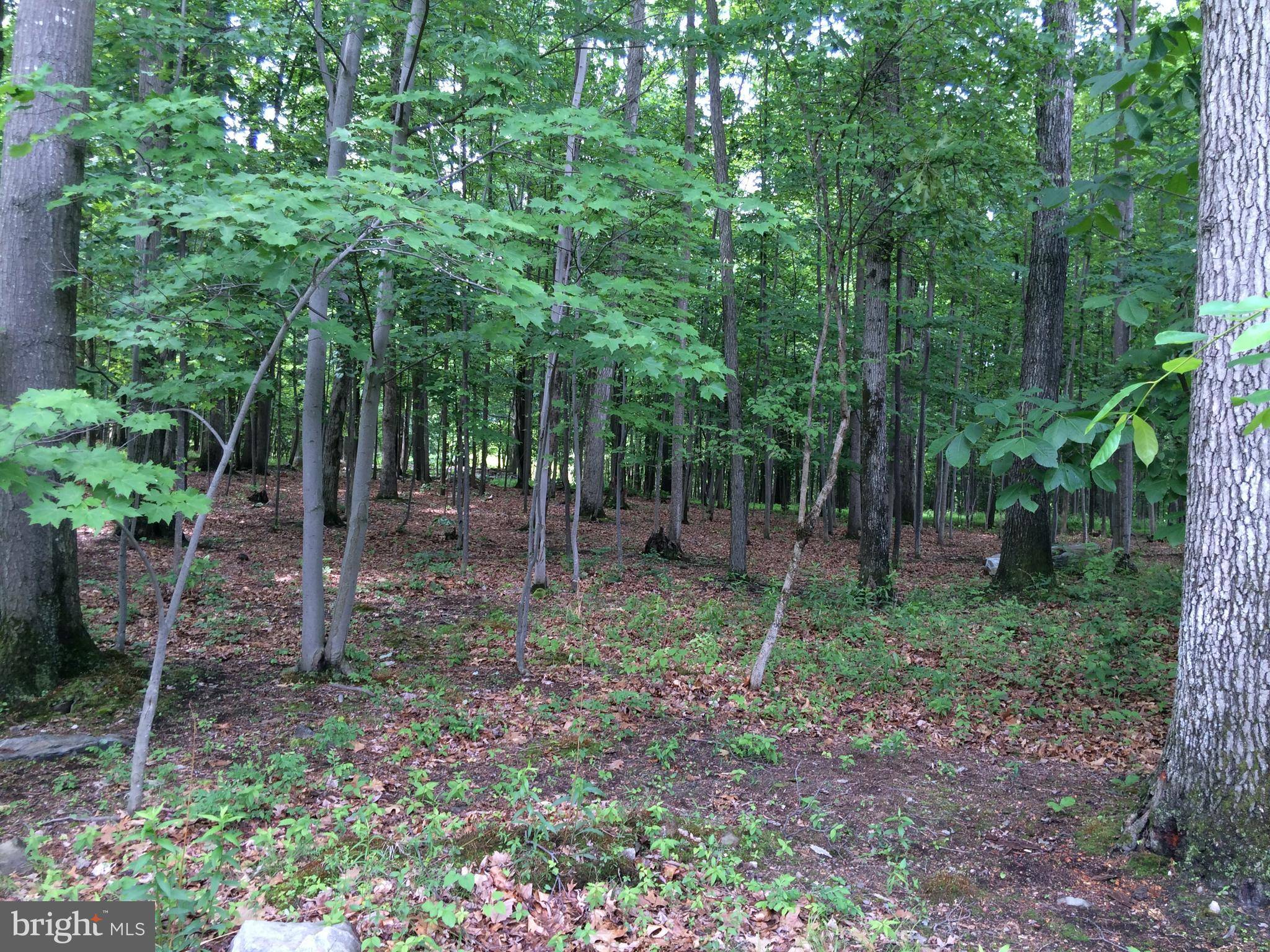 Waynesboro, PA 17268,LOT 85 LONGWOOD DR