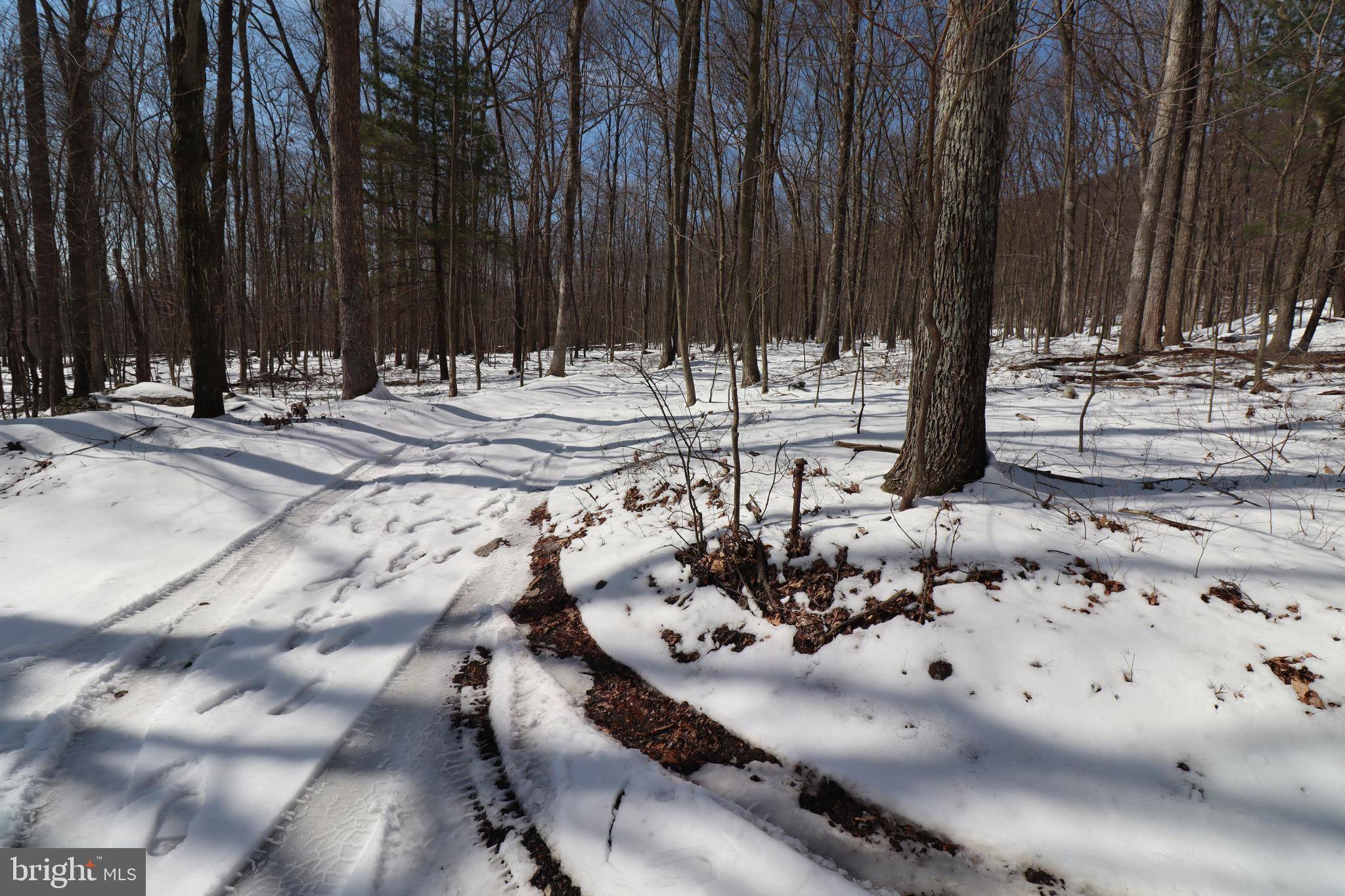 Zion Grove, PA 17985,BUCK MOUNTAIN ROAD