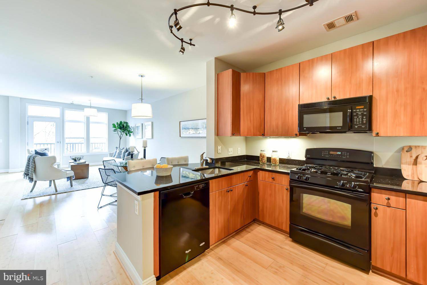 Arlington, VA 22209,1633 N COLONIAL TER #204