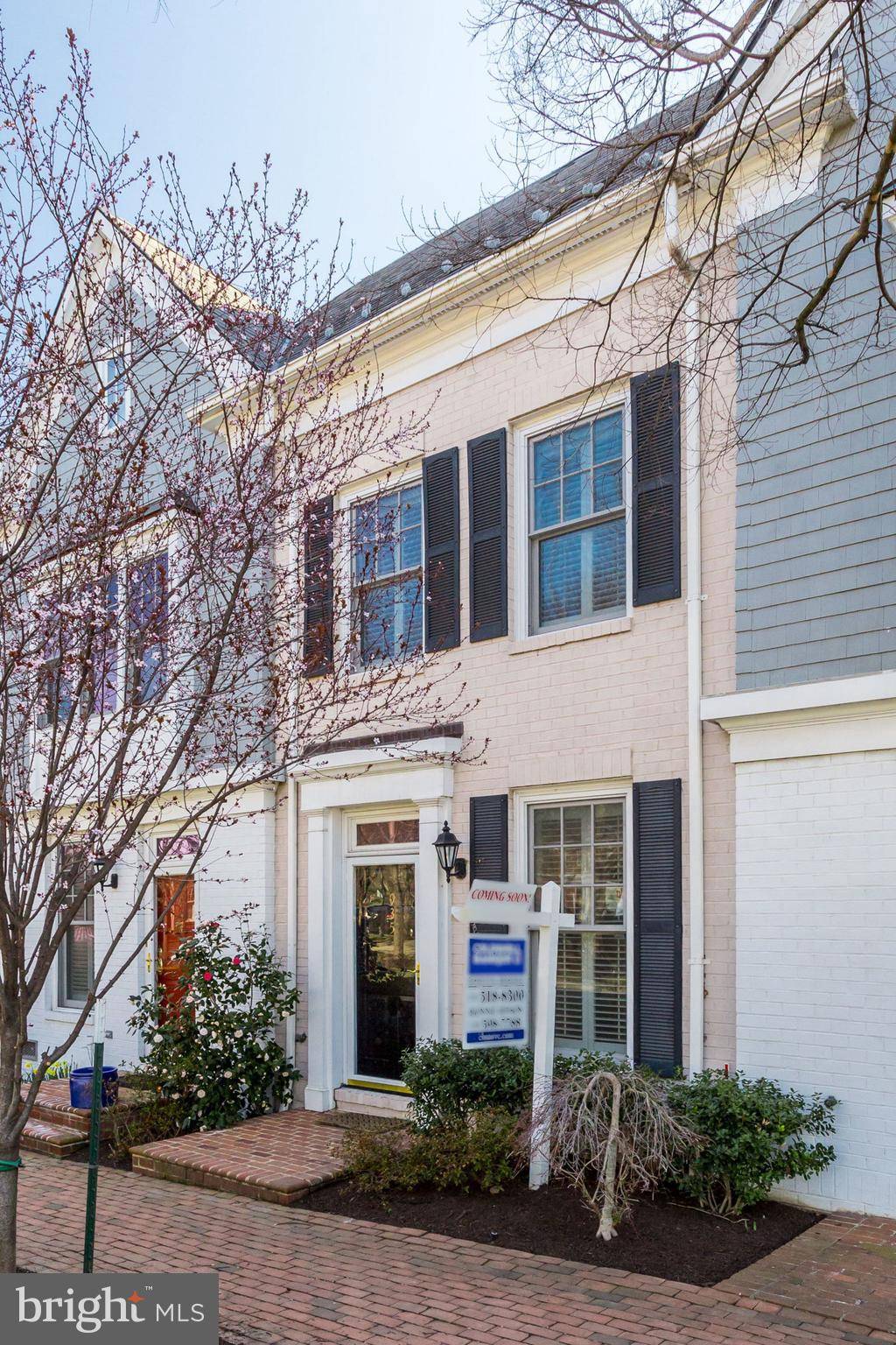 Alexandria, VA 22314,935 POWHATAN ST