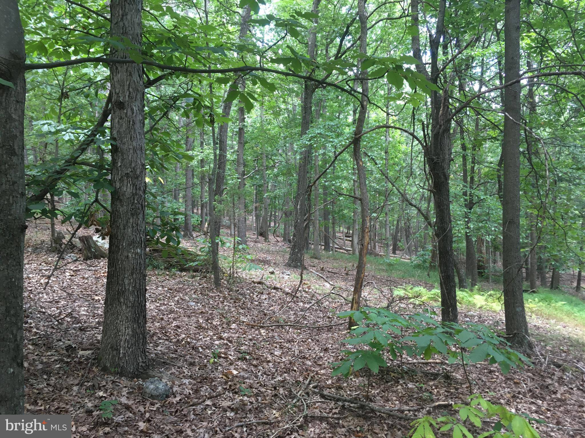 Old Fields, WV 26845,TROUGH OVERLOOK RD