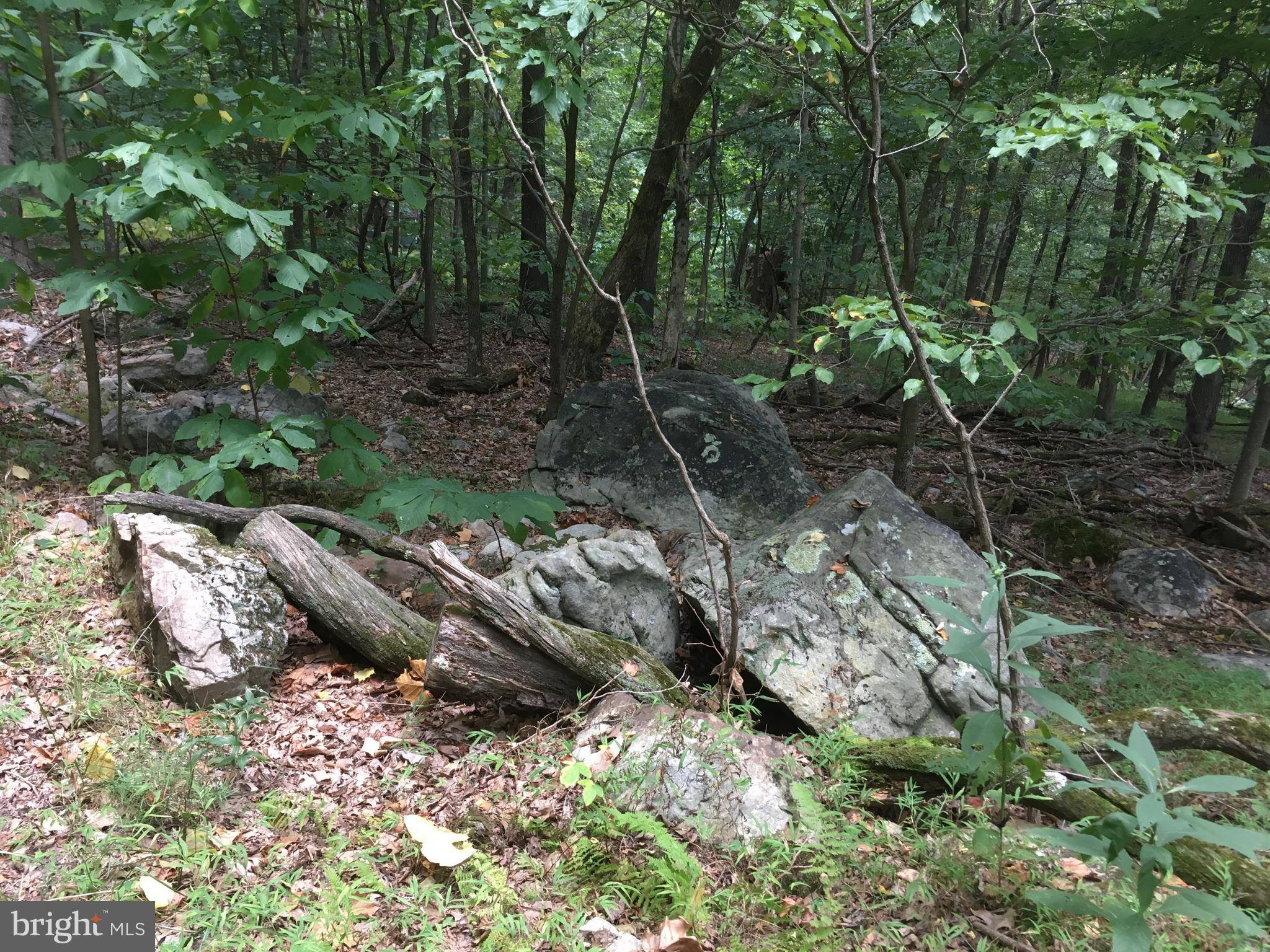 Old Fields, WV 26845,TROUGH OVERLOOK RD