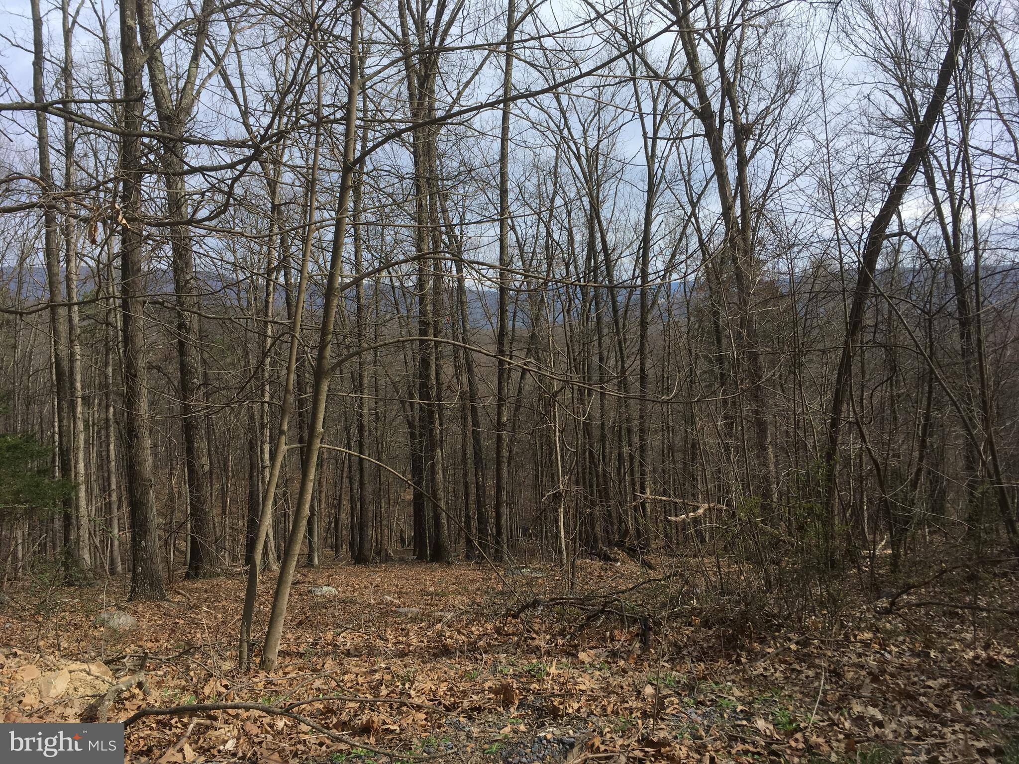 Old Fields, WV 26845,TROUGH OVERLOOK RD