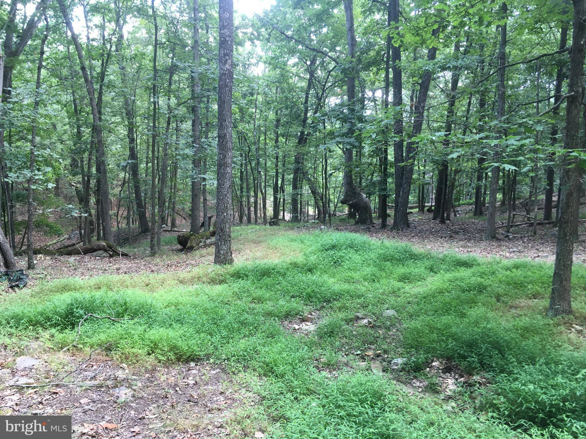 Old Fields, WV 26845,TROUGH OVERLOOK RD