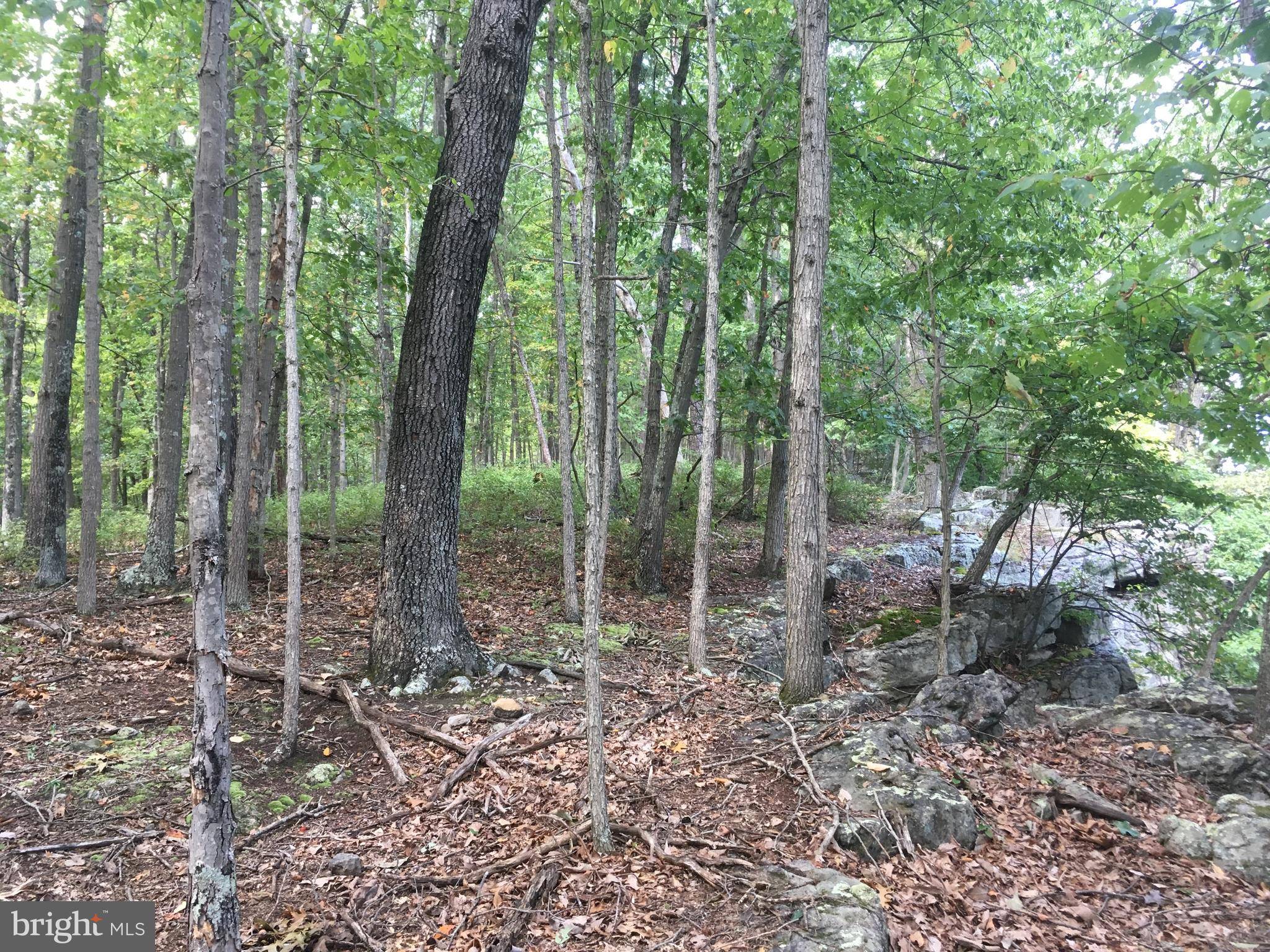 Old Fields, WV 26845,TROUGH OVERLOOK RD