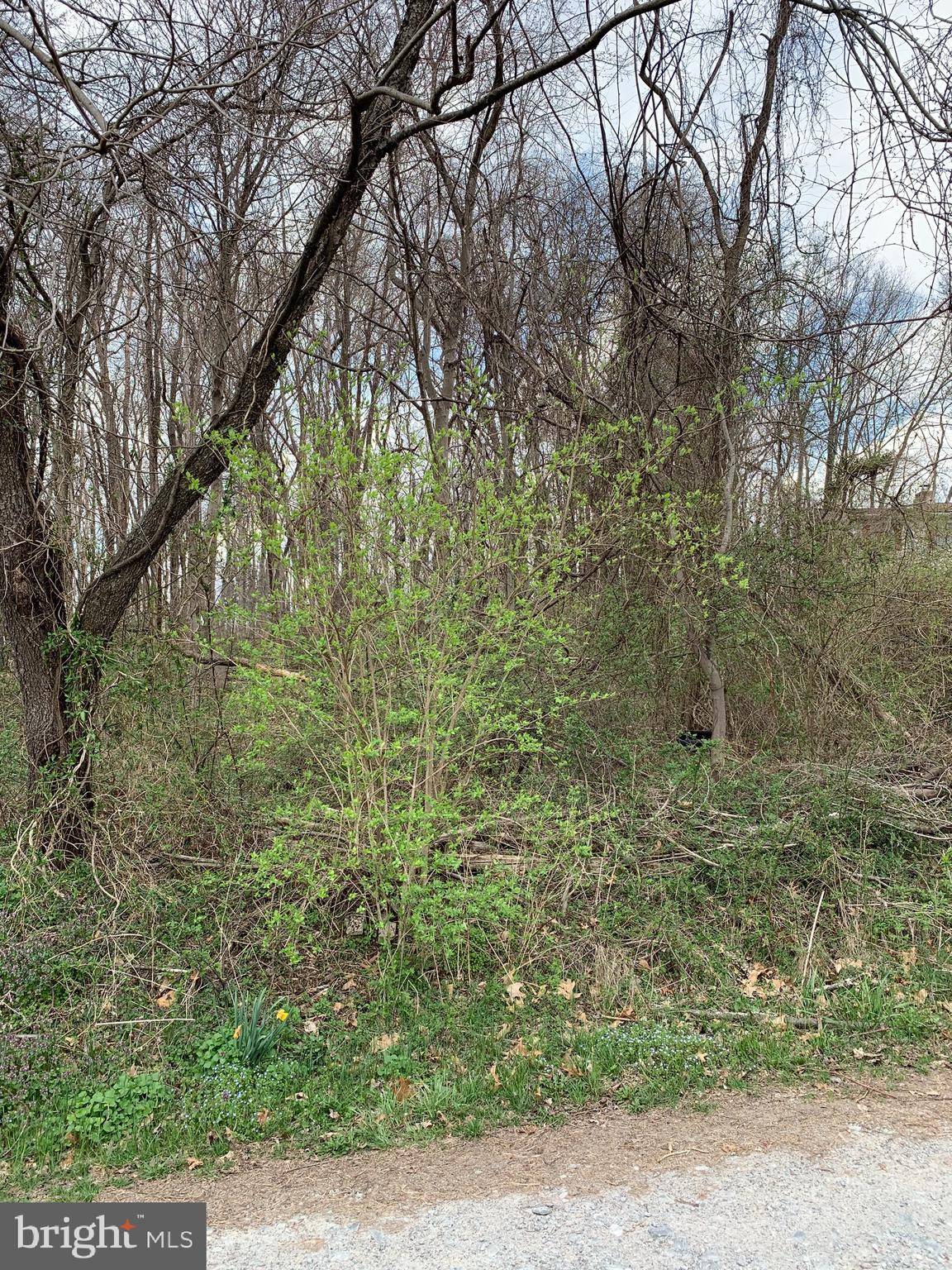 Delta, PA 17314,LOT 4 BLUE BIRD TRAIL