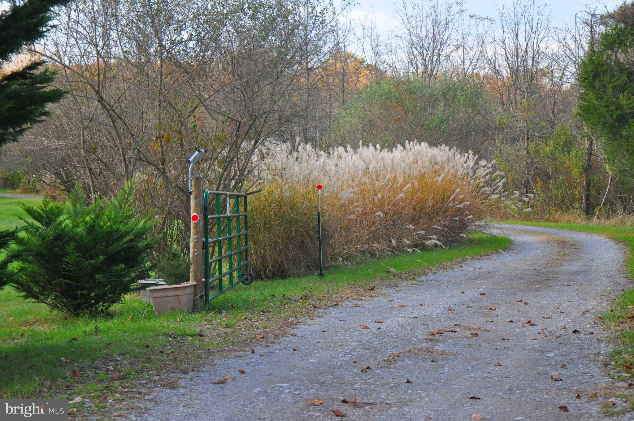 Berkeley Springs, WV 25411,109 BILL'S WAY