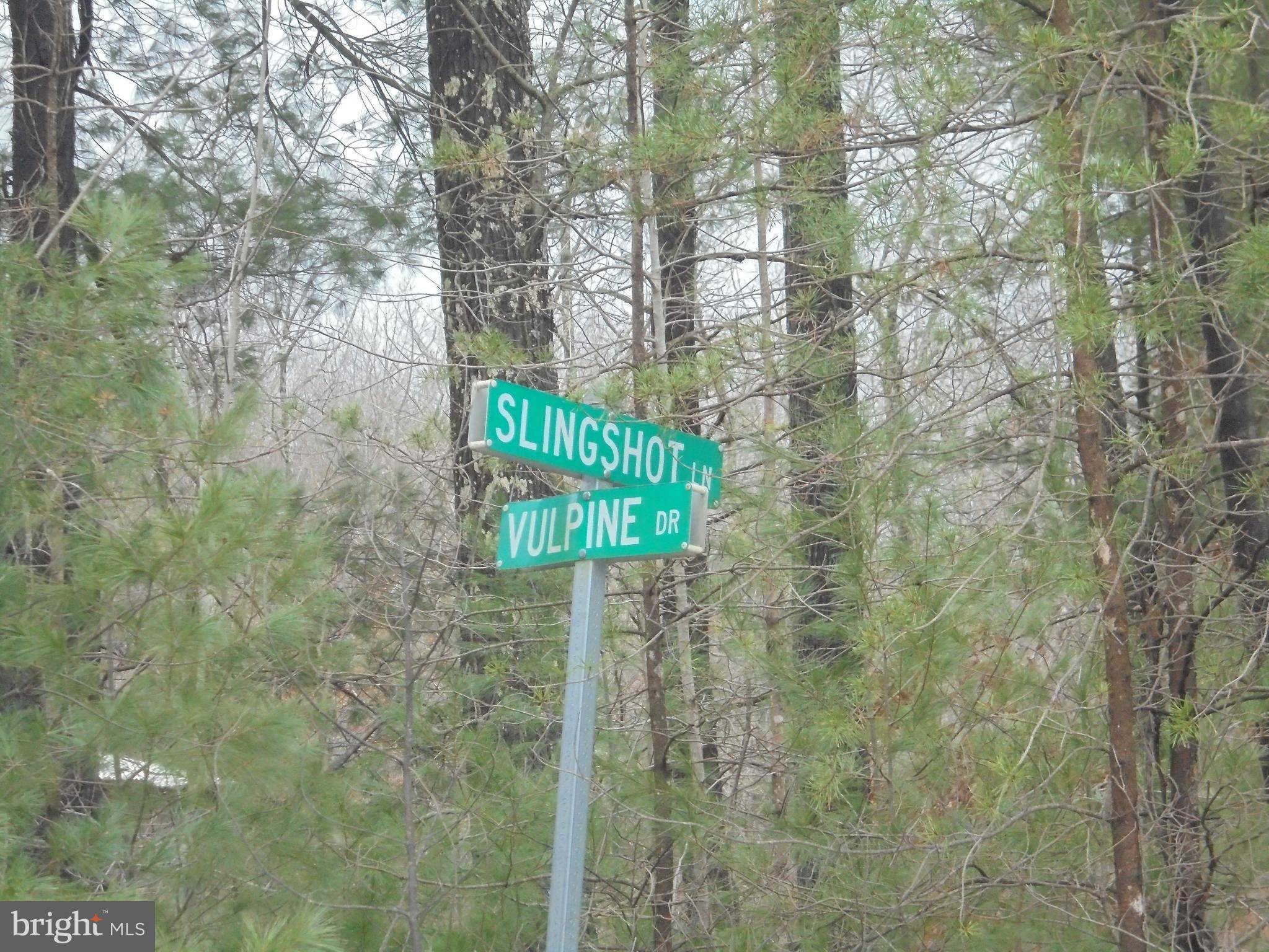 Gerrardstown, WV 25420,SLINGSHOT LN