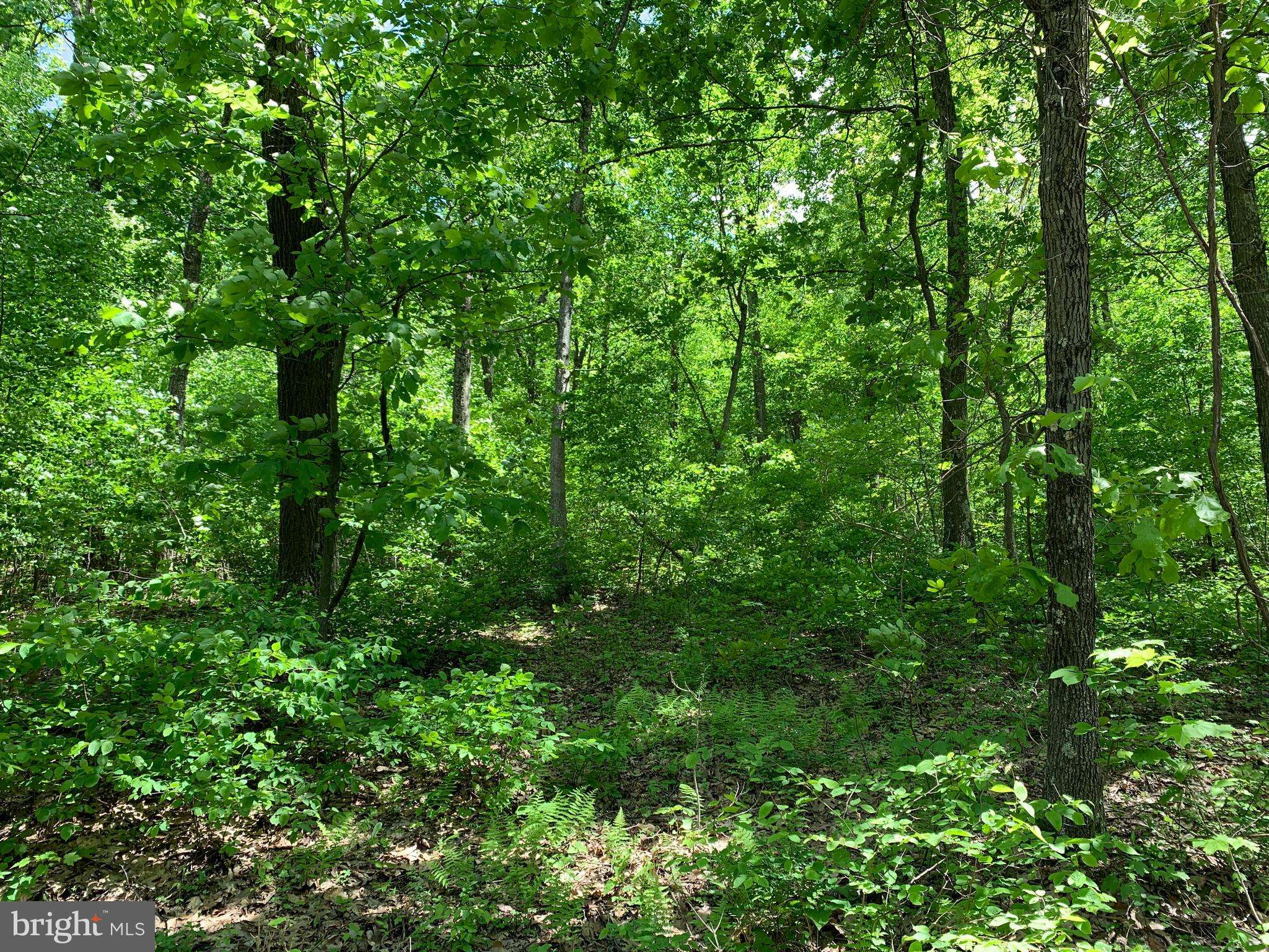 Clearville, PA 15535,LOT 7 MONROE MOUNTAIN ROAD