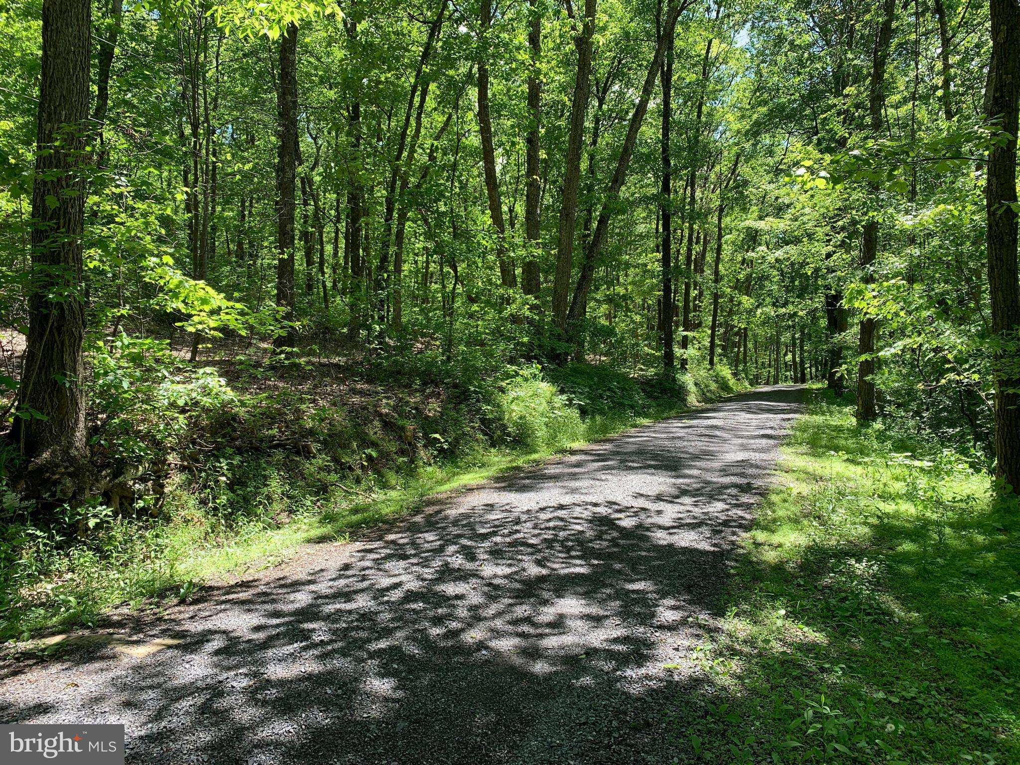 Clearville, PA 15535,LOT 7 MONROE MOUNTAIN ROAD