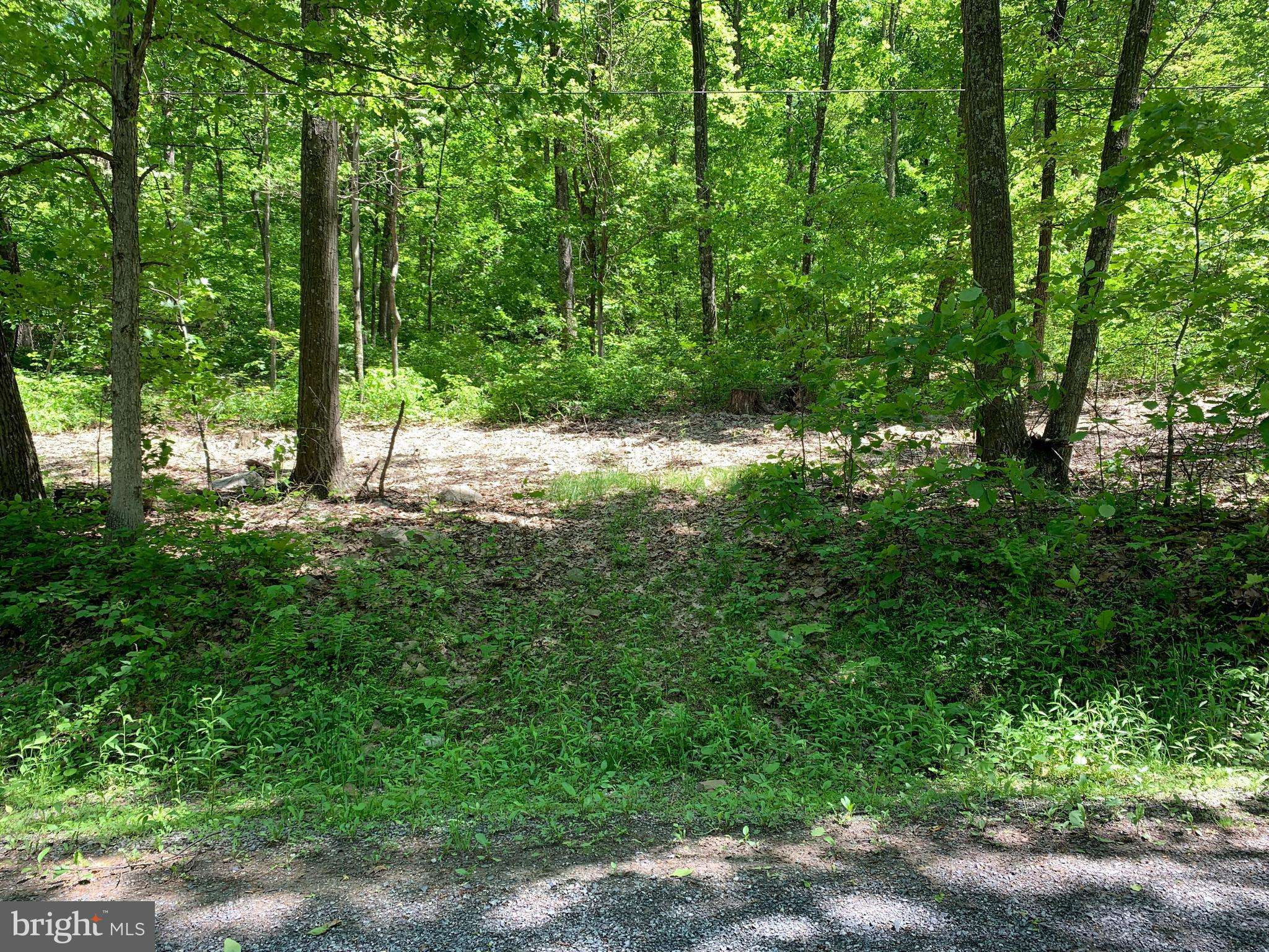 Clearville, PA 15535,LOT 7 MONROE MOUNTAIN ROAD