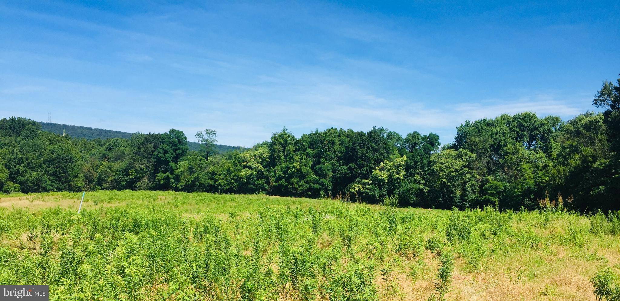 Lovettsville, VA 20180,LOT 27 LONG LN