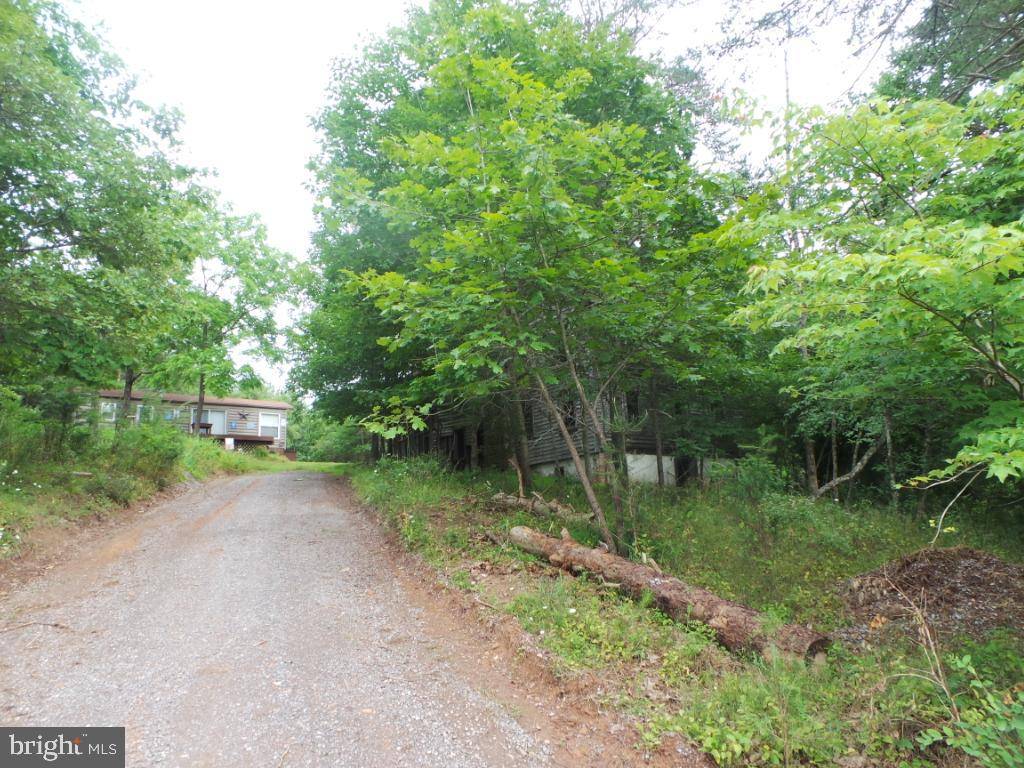 Berkeley Springs, WV 25411,973 POSEY HOLLOW