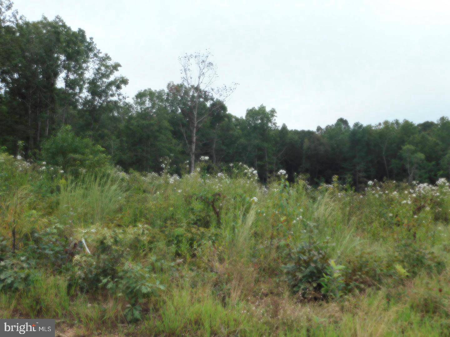 Rhoadesville, VA 22542,LOT 8J BELLEWOOD ACRES LN