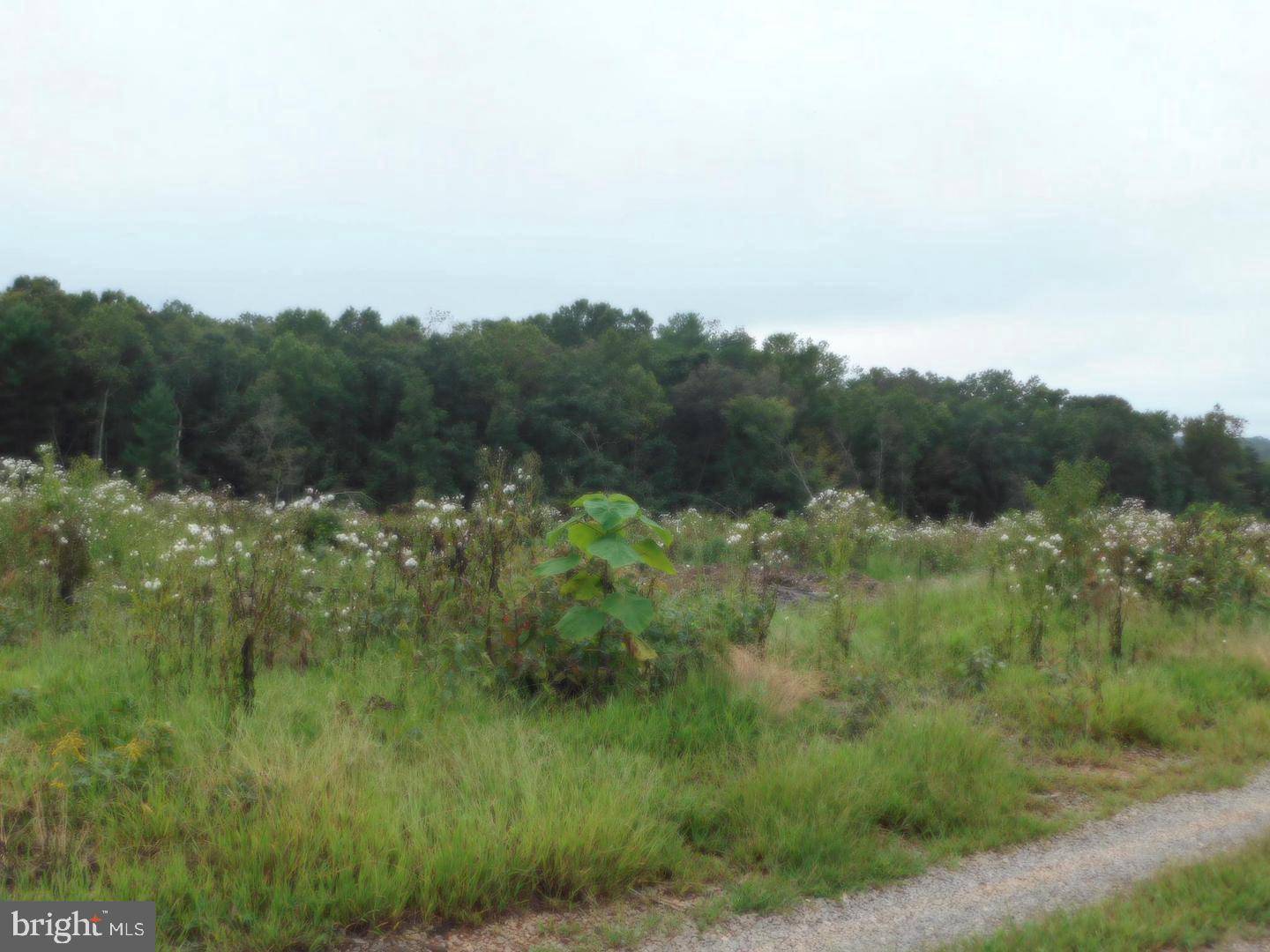 Rhoadesville, VA 22542,LOT 8J BELLEWOOD ACRES LN