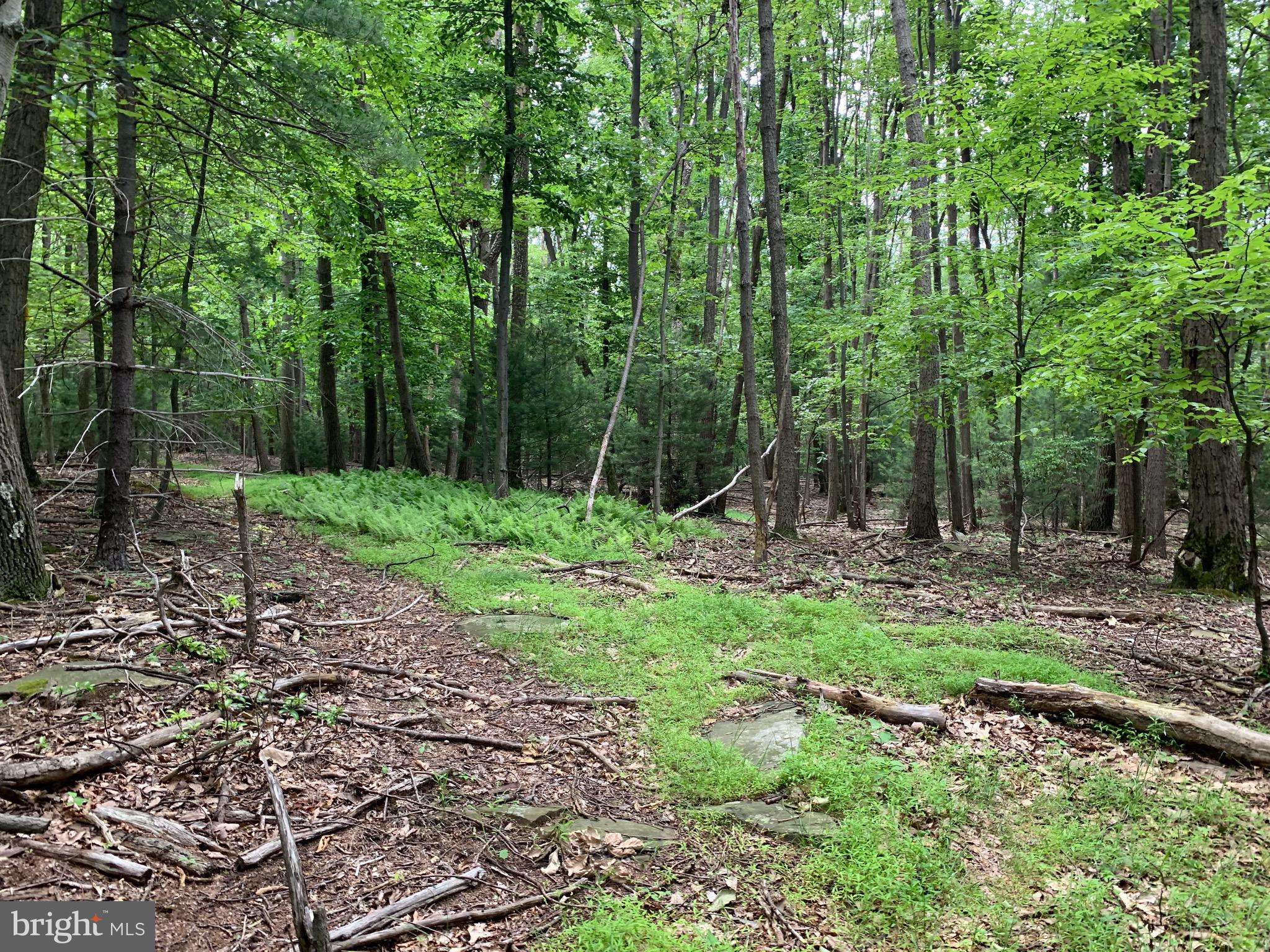 Orrtanna, PA 17353,995H NEW RD #LOT 1