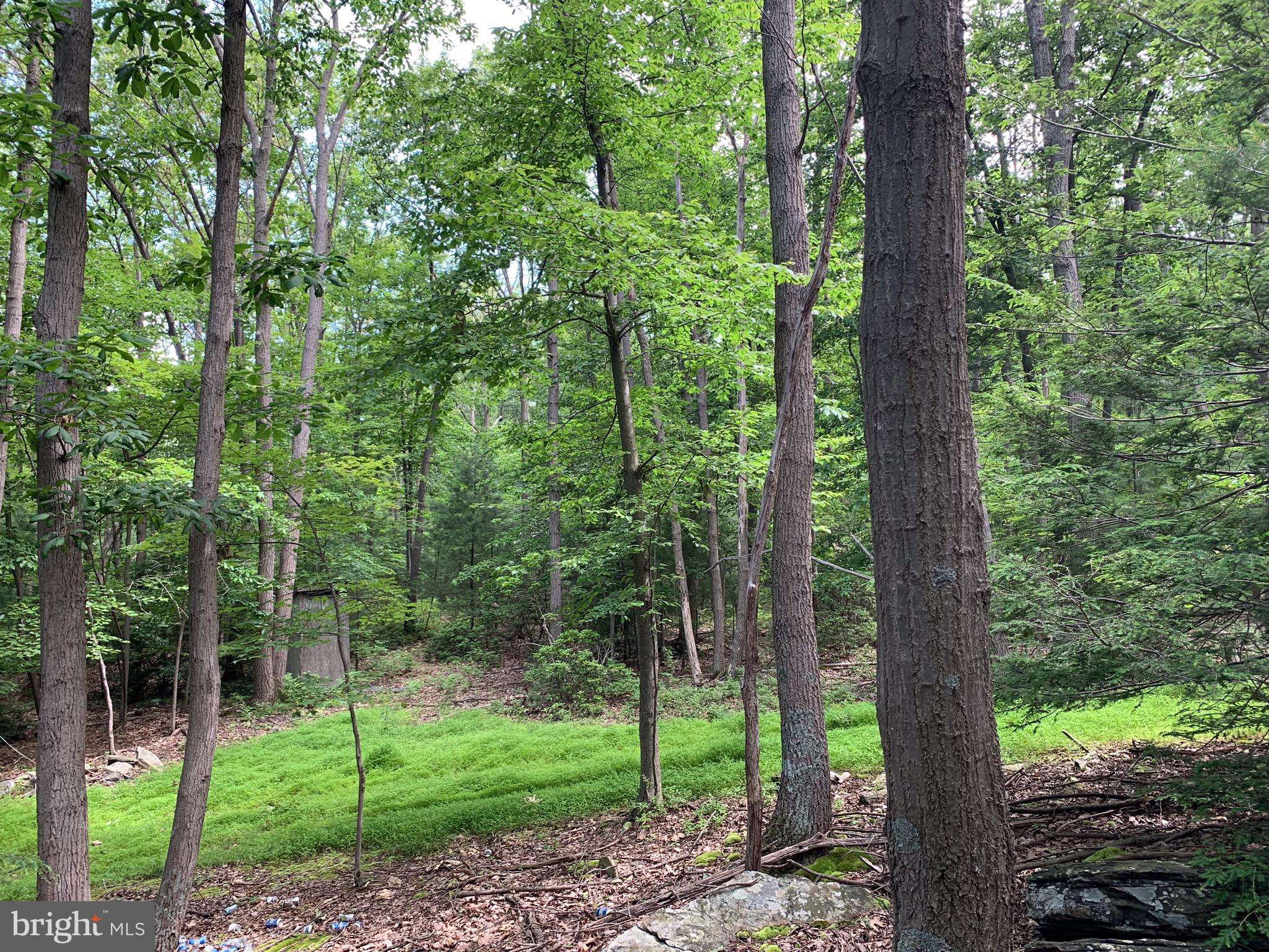 Orrtanna, PA 17353,995H NEW RD #LOT 1