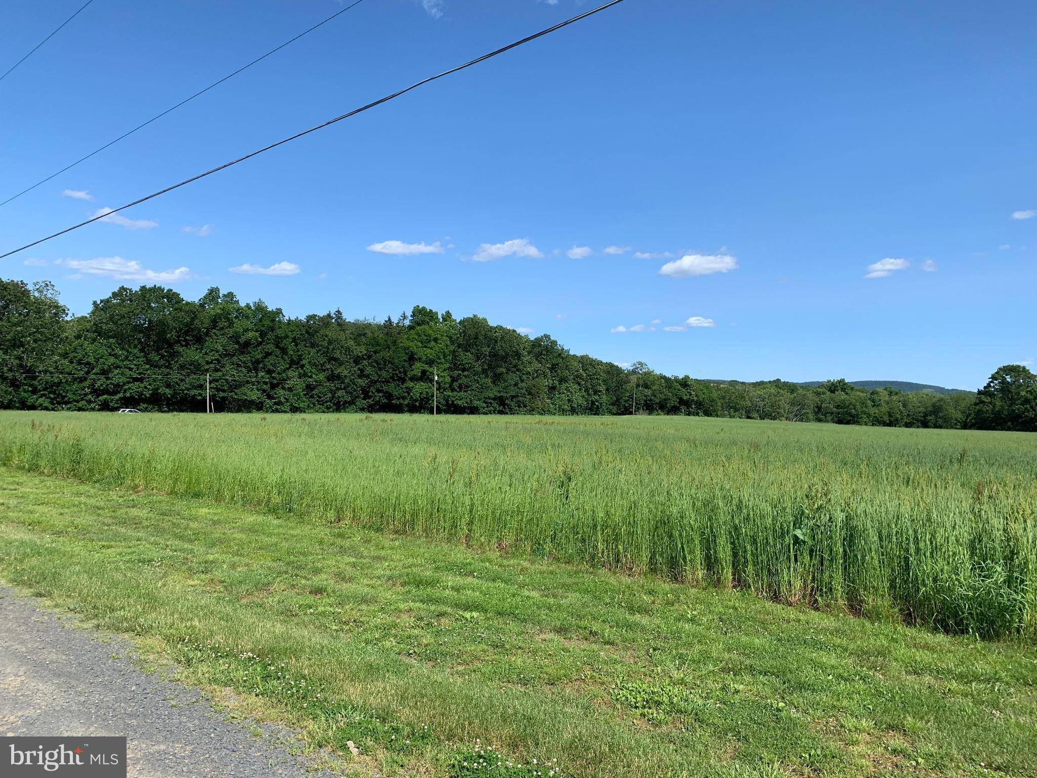 Shermans Dale, PA 17090,LOT 1 B CREEK RD