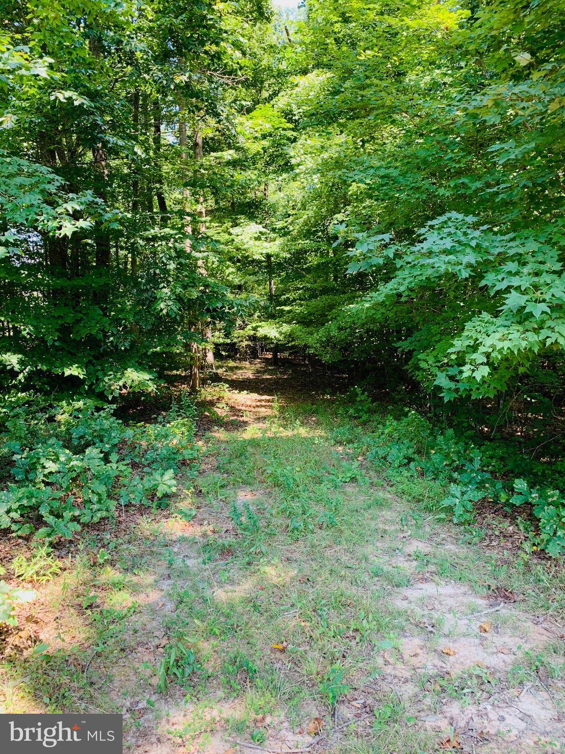 Partlow, VA 22534,9411 QUIET WOODS LN