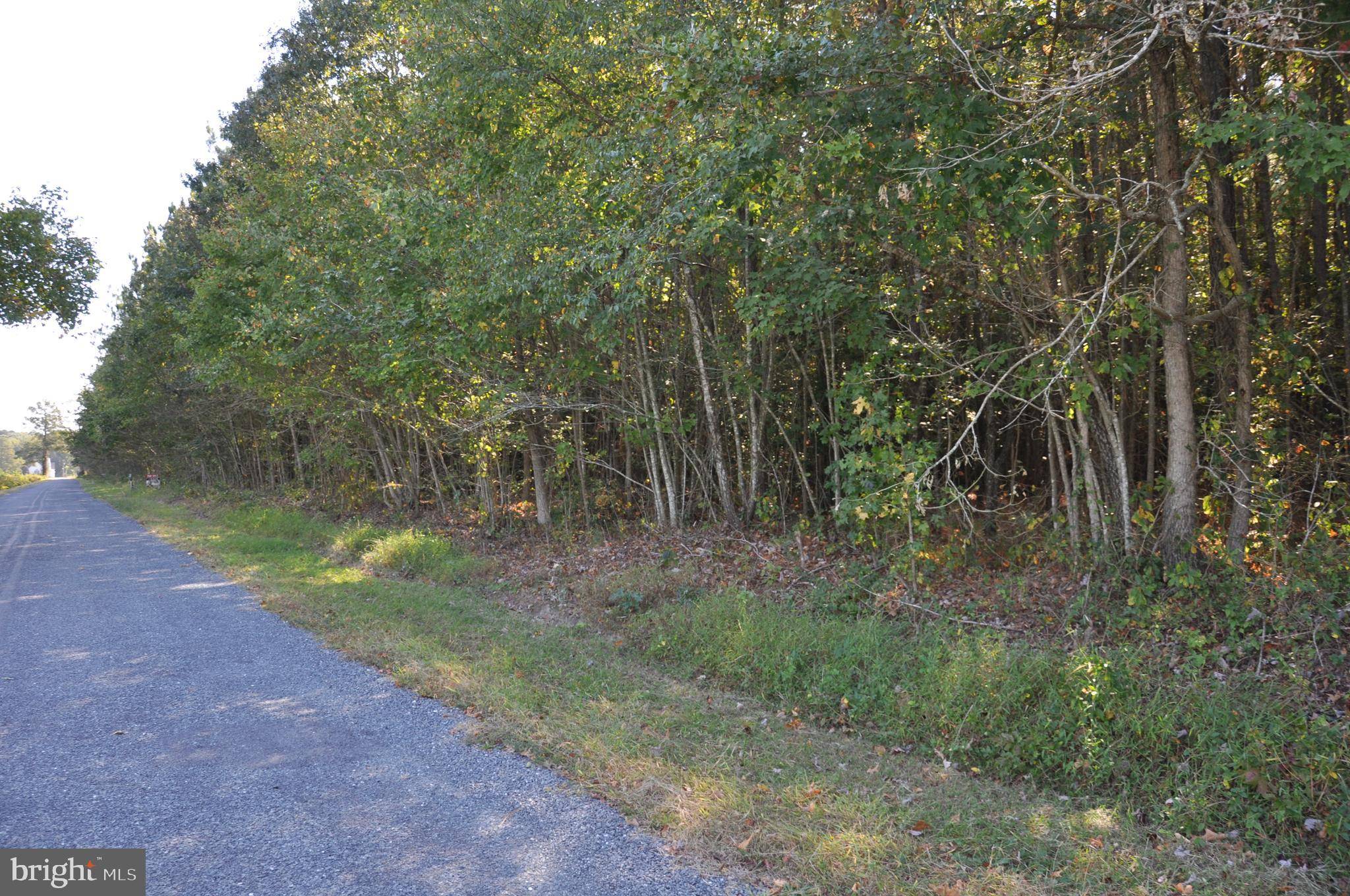 Marion Station, MD 21838,LOT 1 BRYAN HALL RD