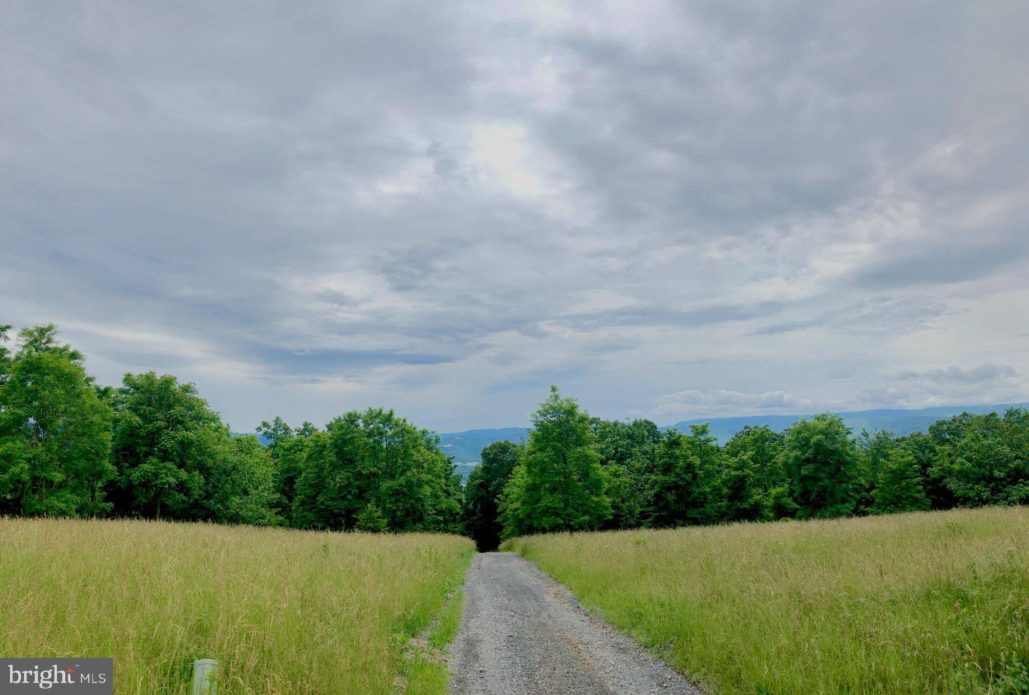 Petersburg, WV 26847,27.16 ACRES CHARLIES KNOB