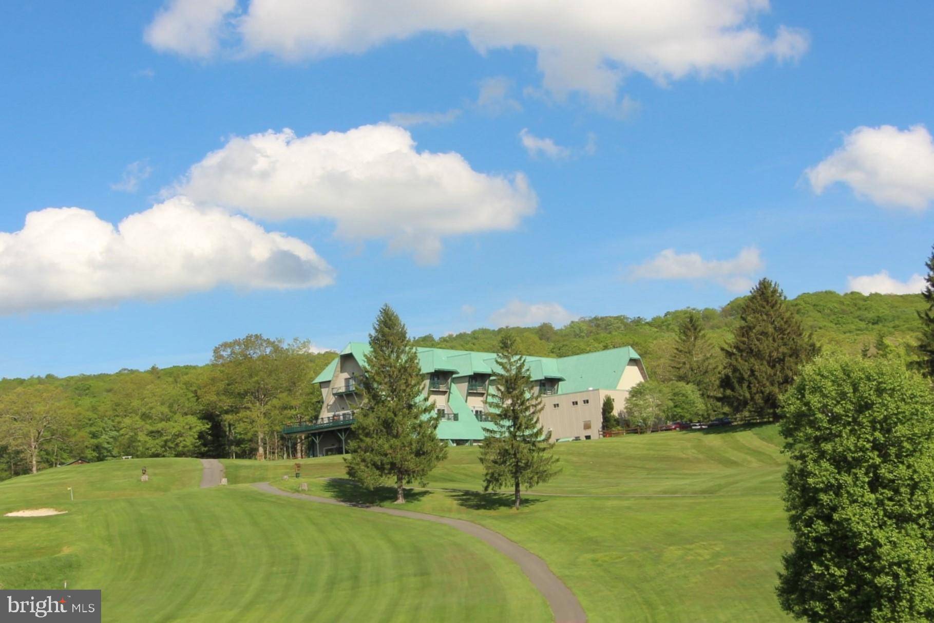 Terra Alta, WV 26764,LOT 84 E ALPINE DR