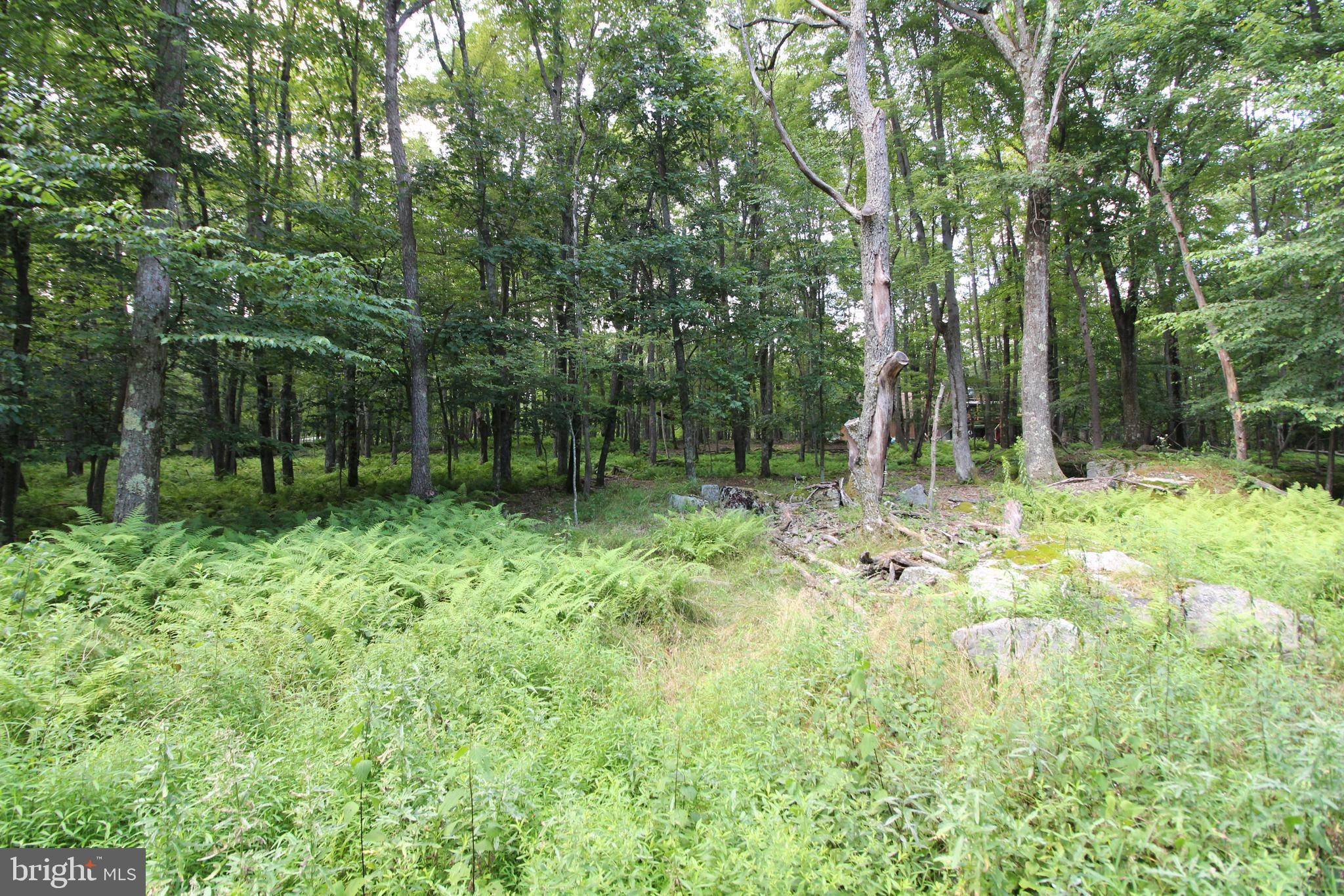 Terra Alta, WV 26764,LOT 84 E ALPINE DR