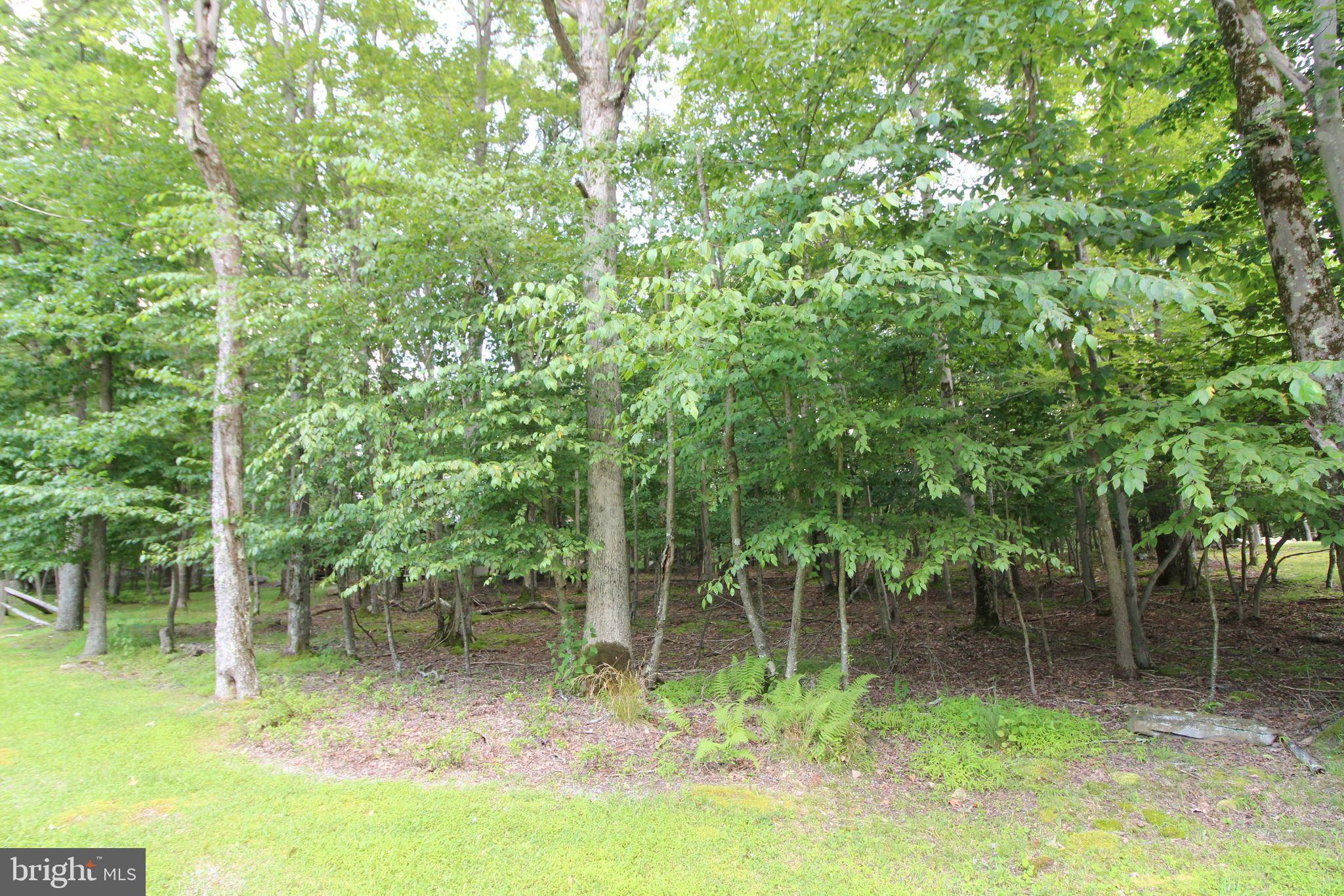 Terra Alta, WV 26764,LOT 84 E ALPINE DR