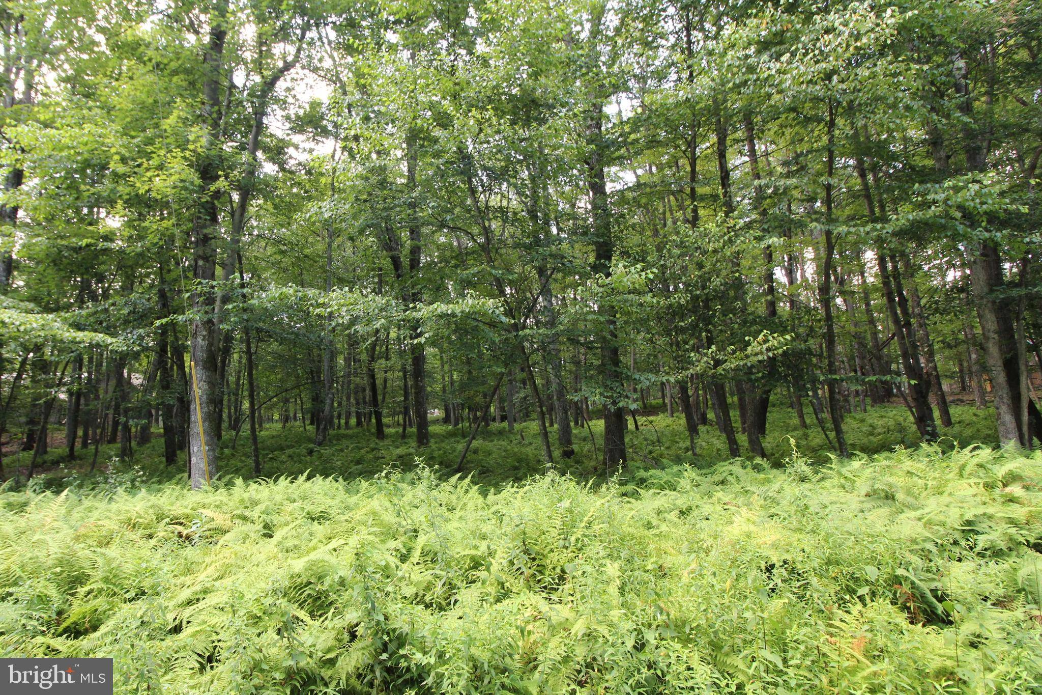 Terra Alta, WV 26764,LOT 75 GOLDENROD DR