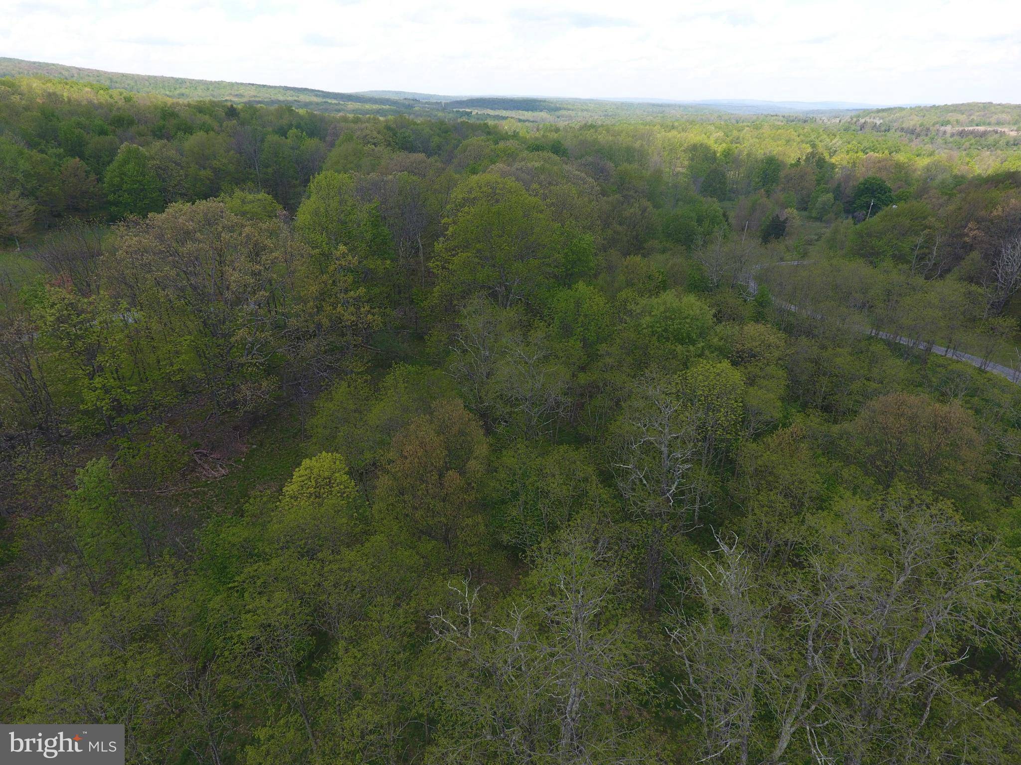 Mount Storm, WV 26739,SUGAR GROVE FARMS