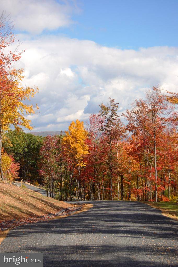 Mount Storm, WV 26739,LOT 60 DOLLY SODS RETREAT