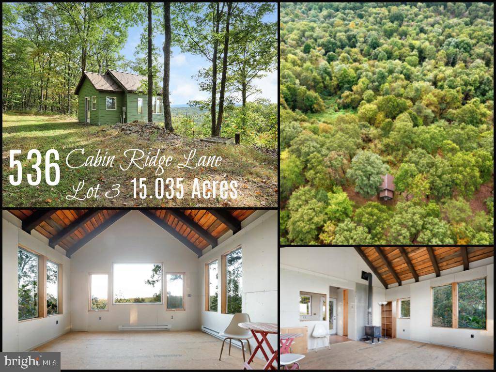 Clearville, PA 15535,536-LOT 3 CABIN RIDGE LN