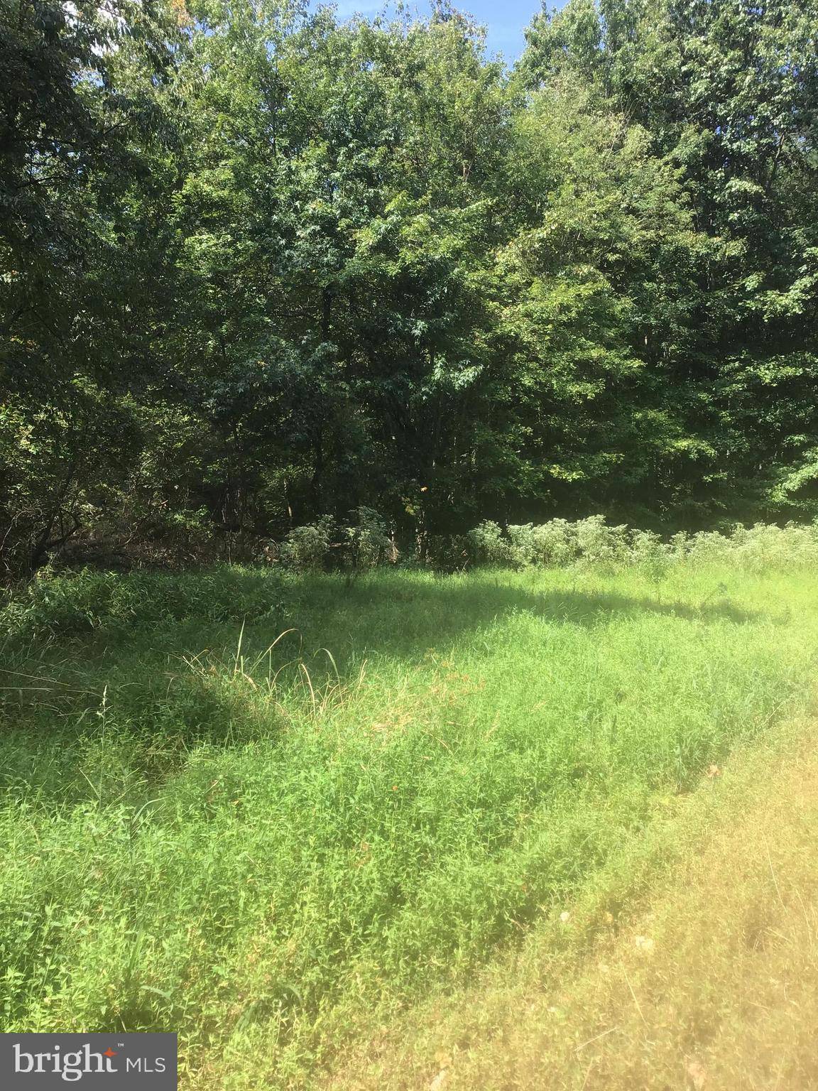 Deale, MD 20751,5901 DEALE BEACH RD #LOT 3