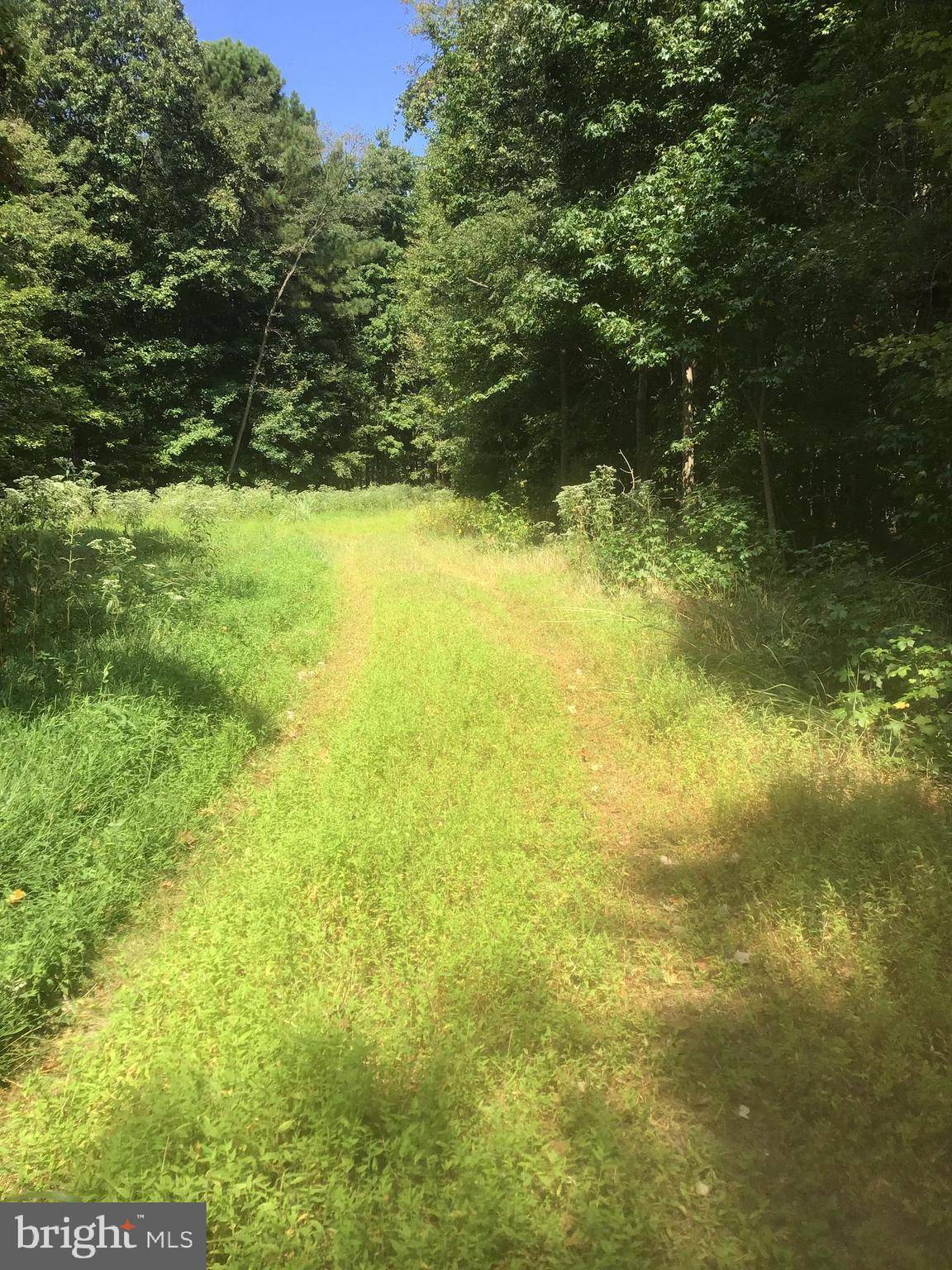 Deale, MD 20751,5901 DEALE BEACH RD #LOT 3