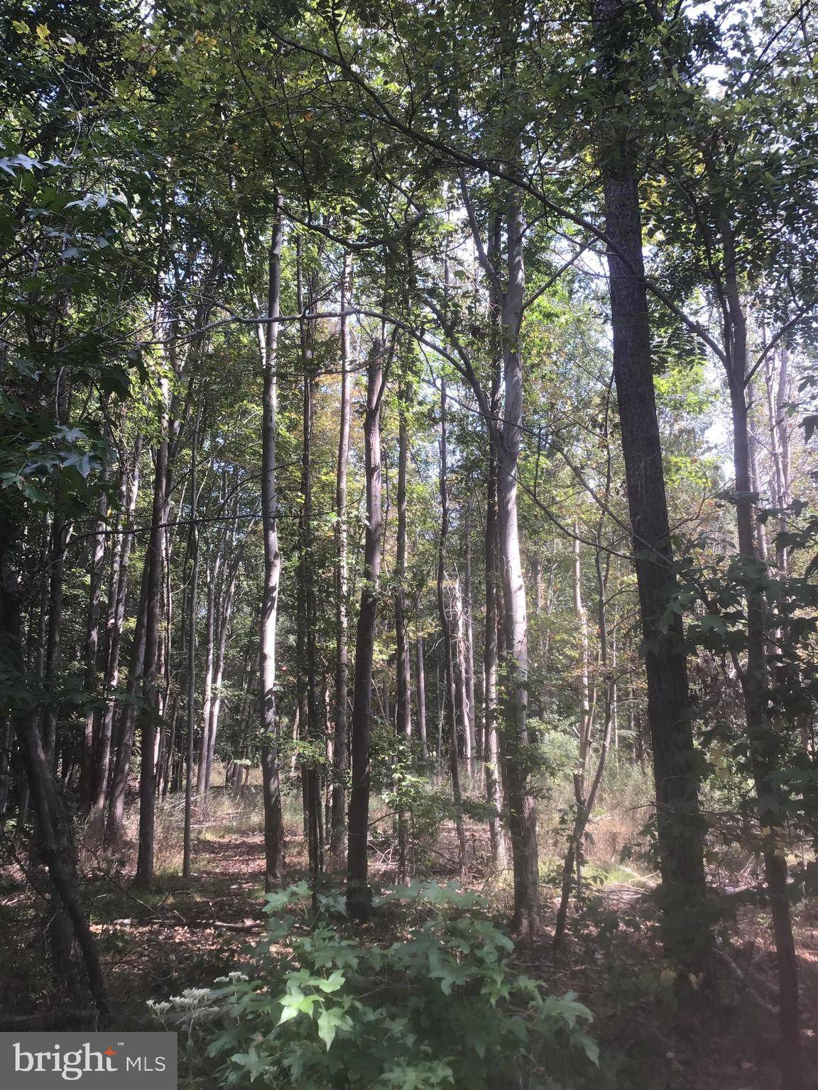 Deale, MD 20751,5901 DEALE BEACH RD #LOT 3