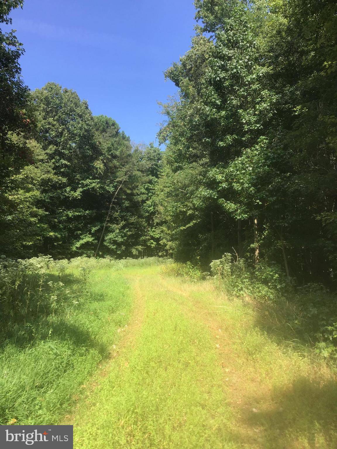 Deale, MD 20751,5901 DEALE BEACH RD #LOT 3