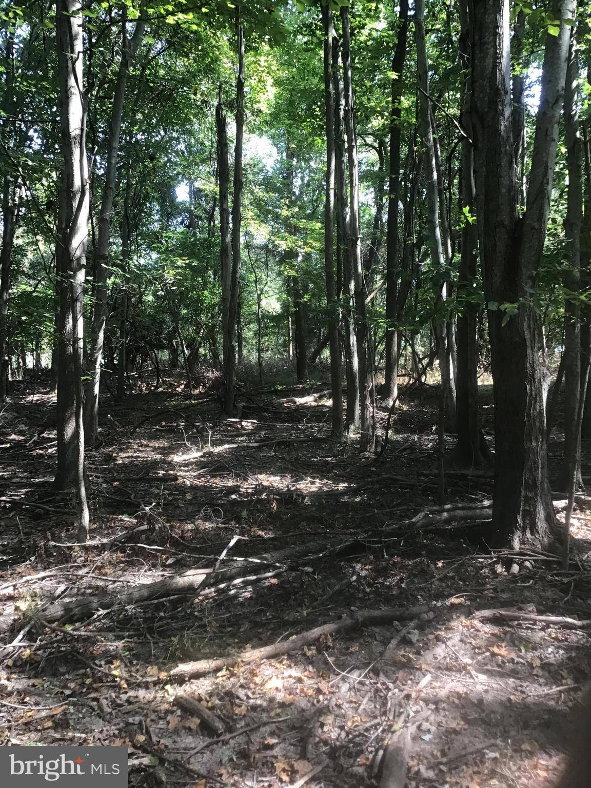 Deale, MD 20751,5903 DEALE BEACH RD #LOT 2