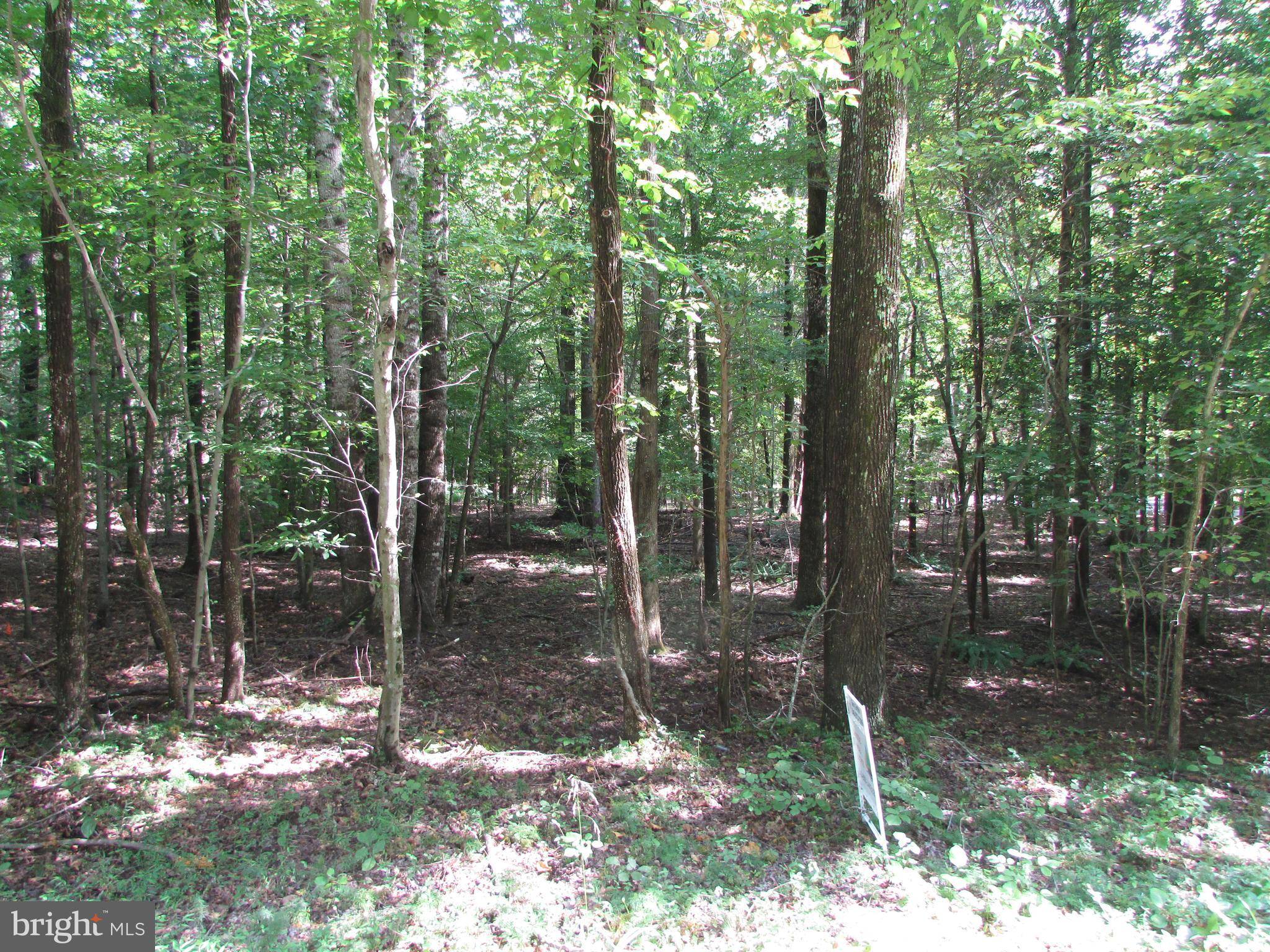 Bumpass, VA 23024,LOT 21 TURF LN