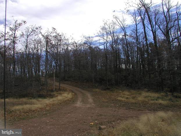 Baker, WV 26801,765 TOP OF THE MOUNTAIN