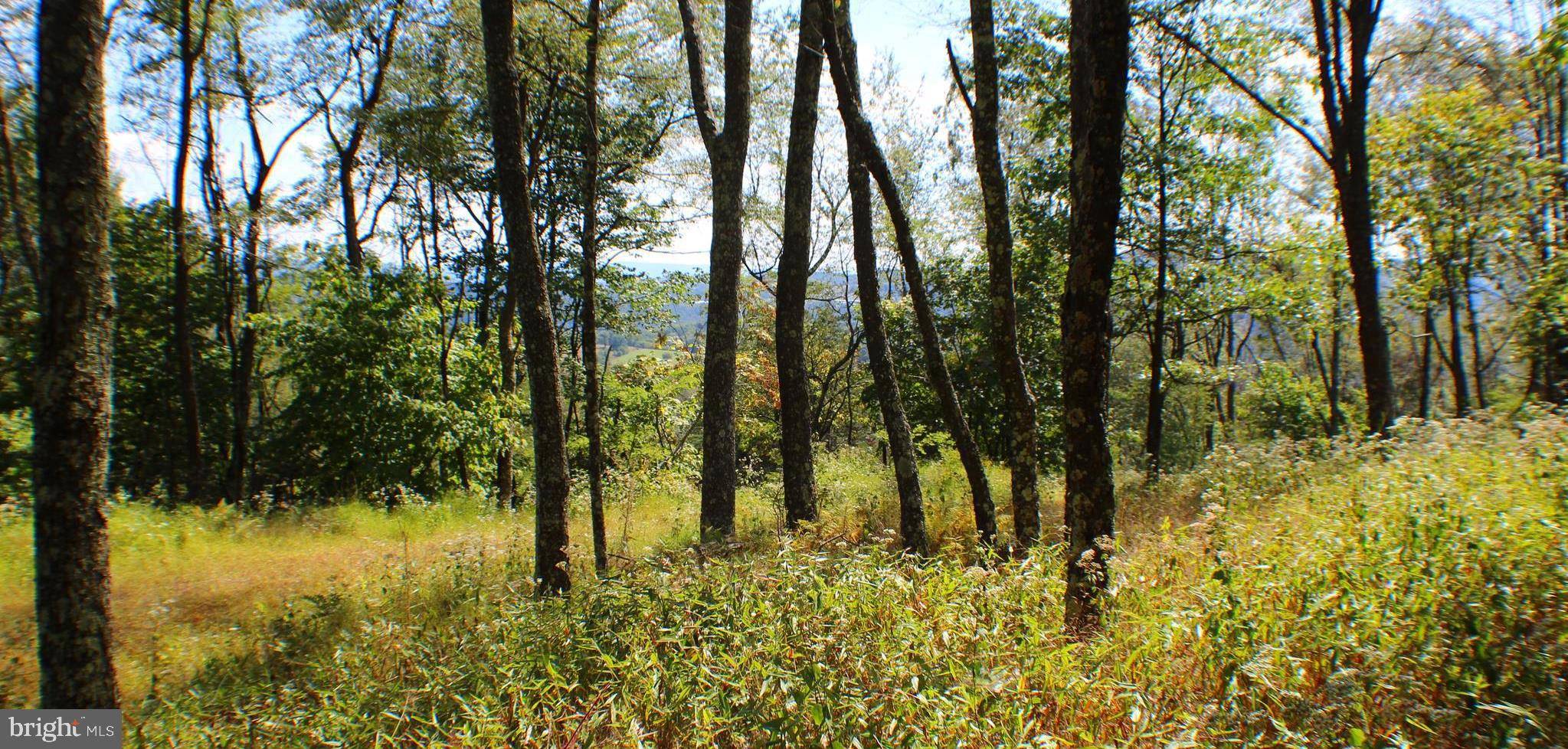 Baker, WV 26801,765 TOP OF THE MOUNTAIN