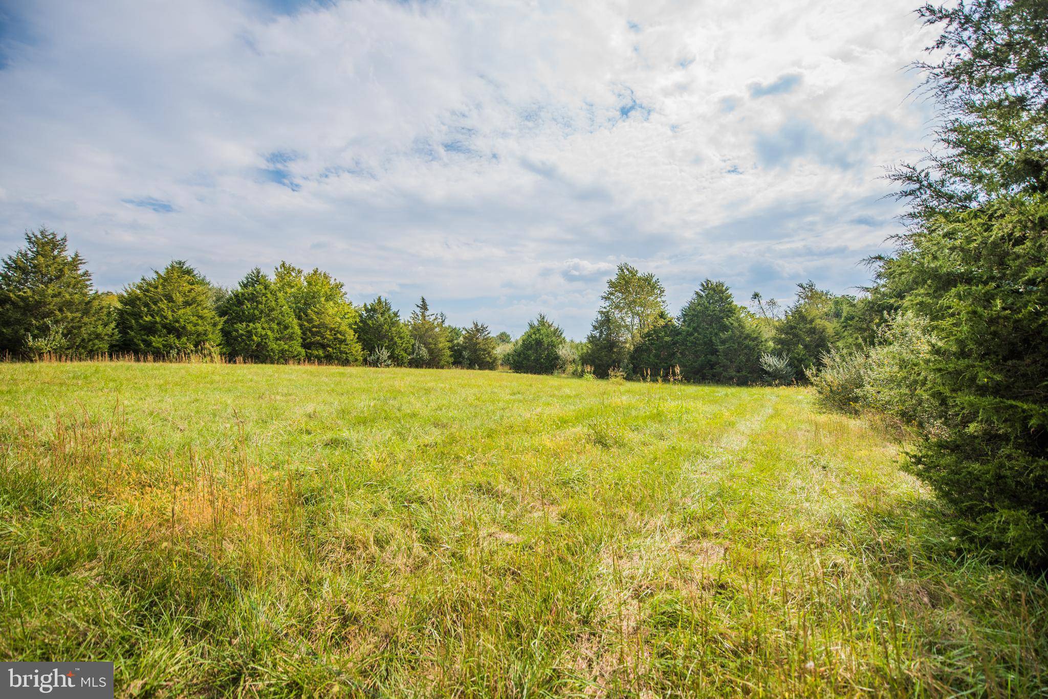 Strasburg, VA 22657,ORANDA RD