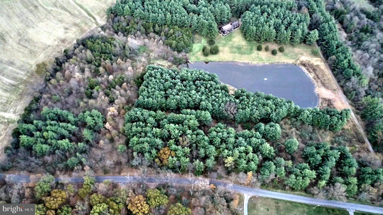 Emmitsburg, MD 21727,17211 BULLFROG