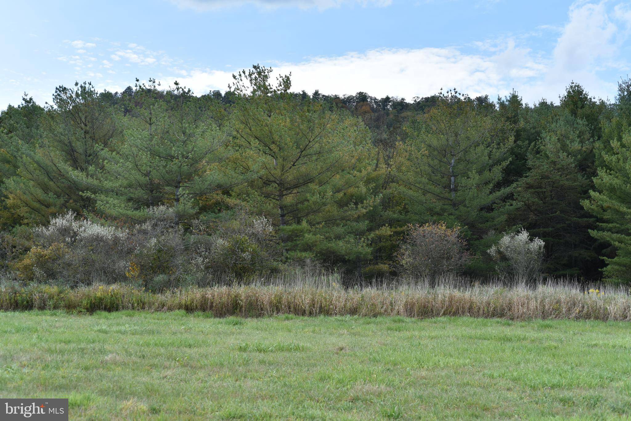 Mcconnellsburg, PA 17233,LOT # 2 GREAT COVE ROAD