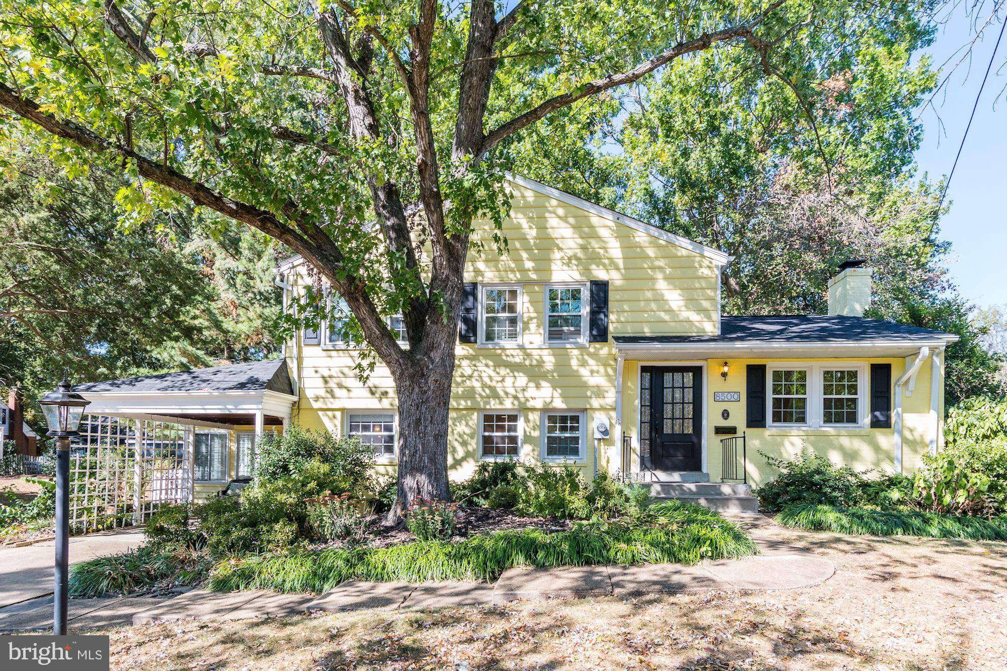 Alexandria, VA 22308,8500 CONOVER PL