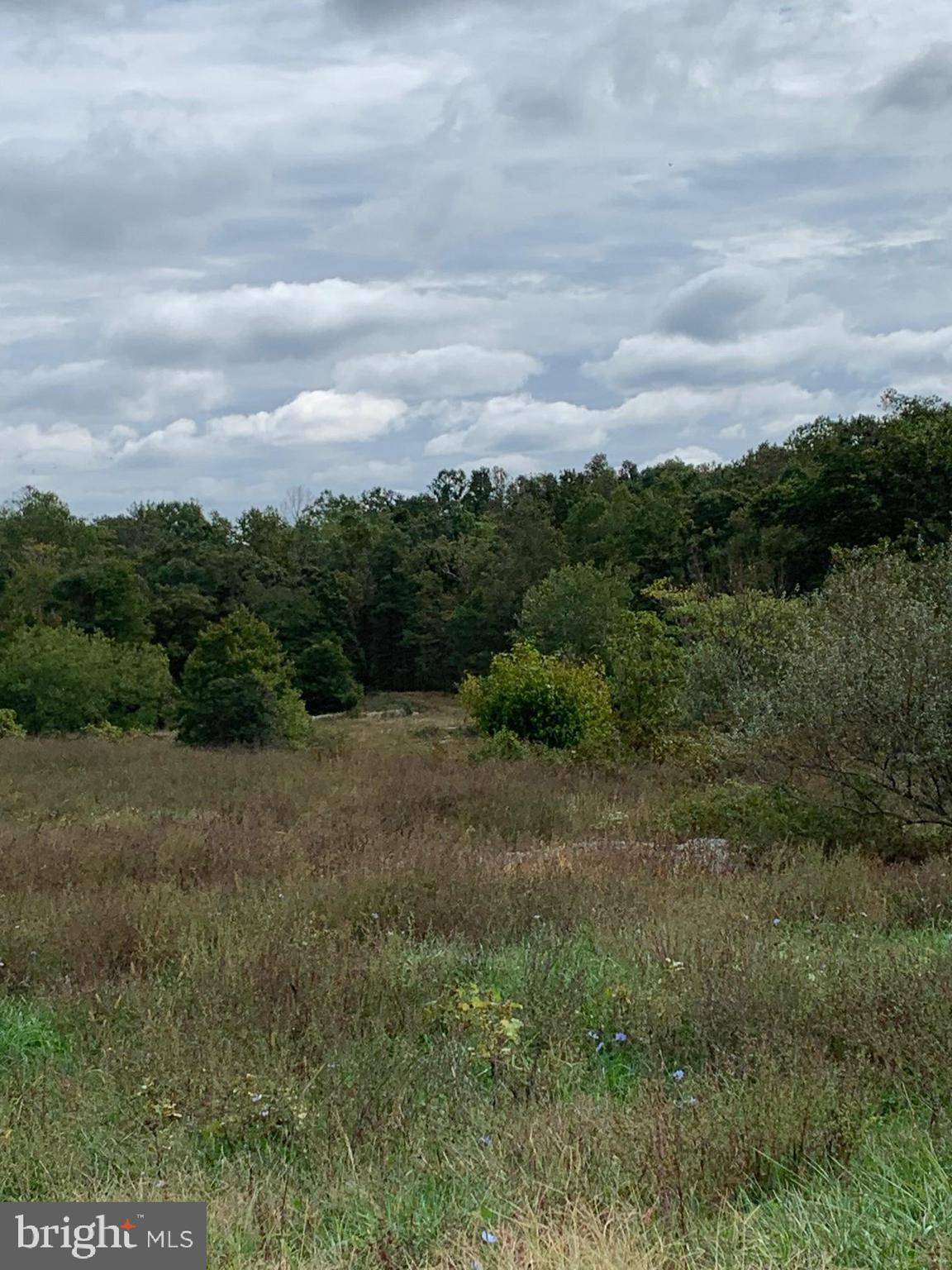 Amissville, VA 20106,HACKLEYS MILL RD