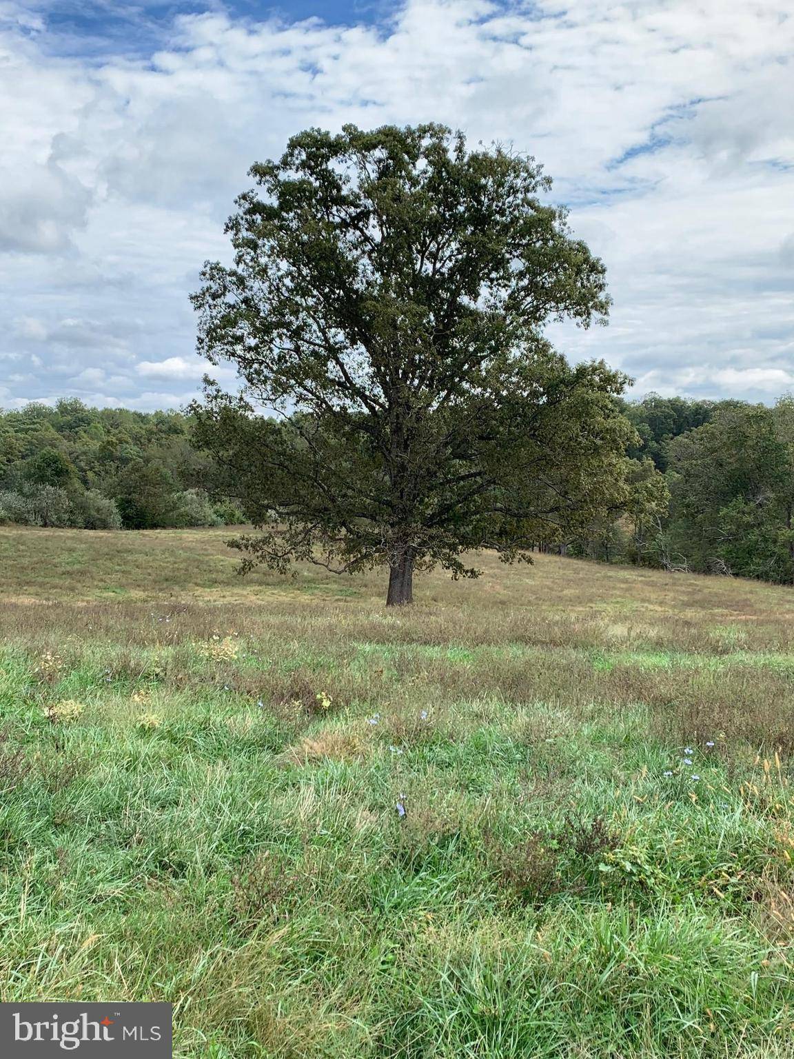 Amissville, VA 20106,HACKLEYS MILL RD